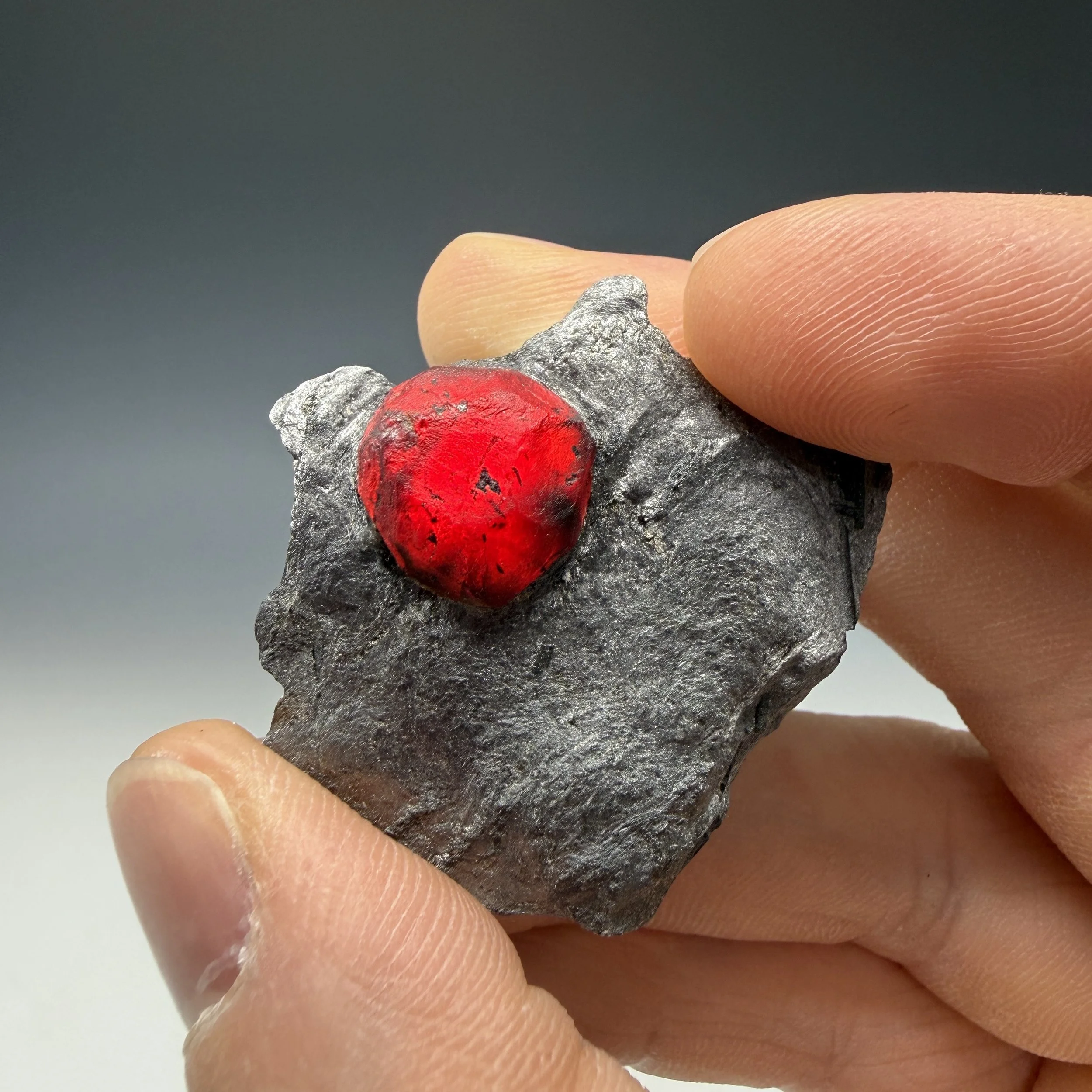 Almandine Garnet, Graphite Schist, Red Embers Mine, Erving, Franklin County, Massachusetts, USA