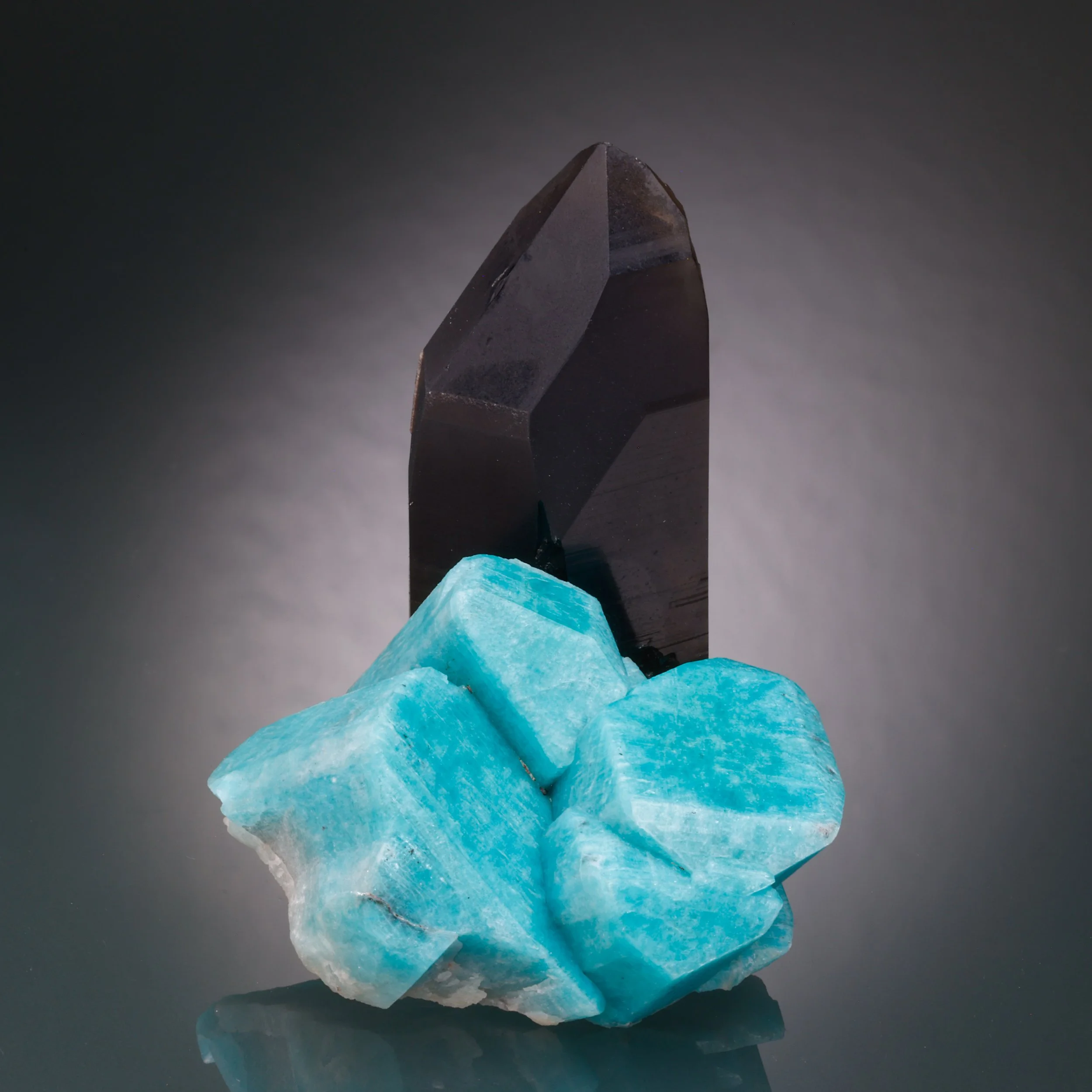 DanZellnerMineralPhotos7.15-4304.jpg