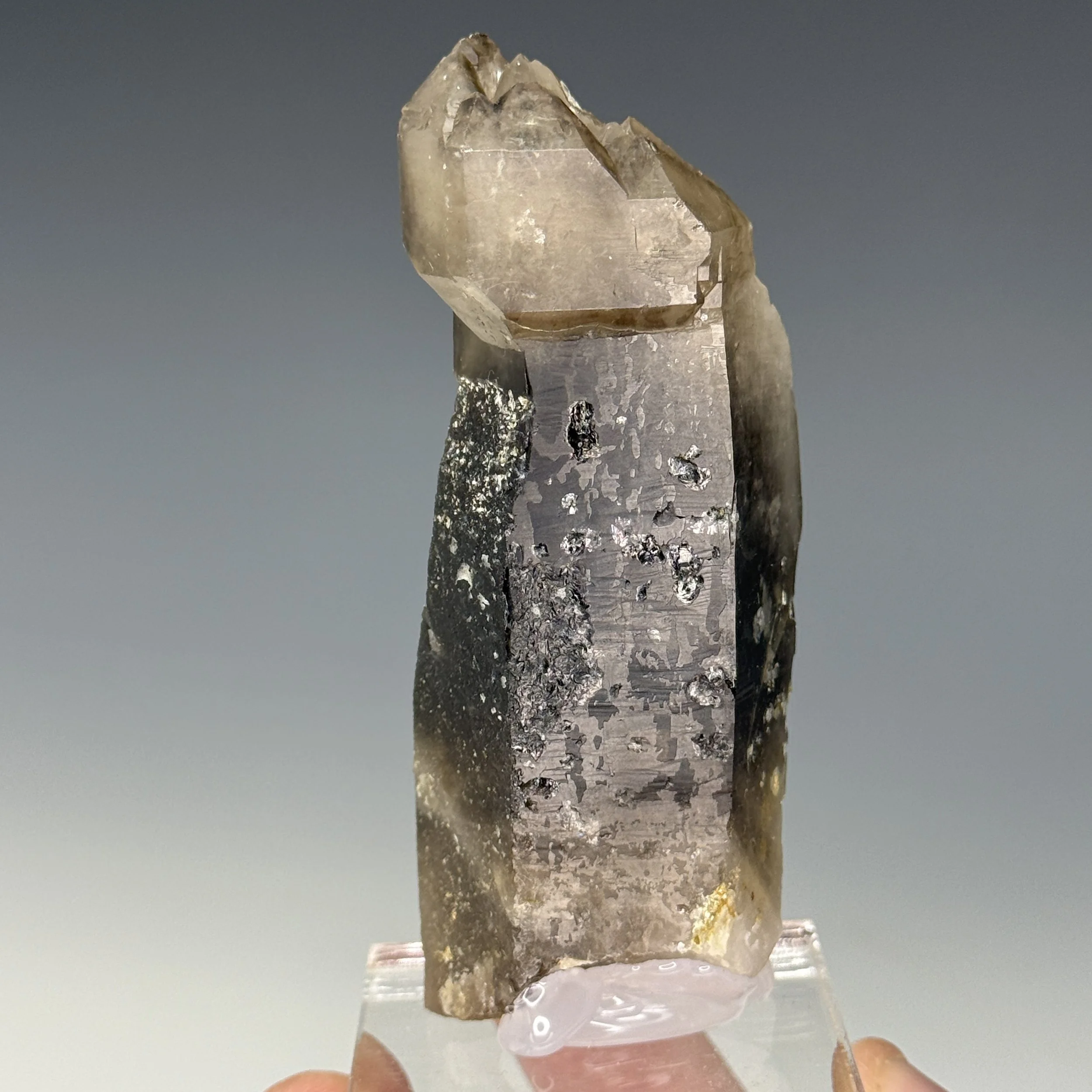 Smoky Quartz Scepter, Hallelujah Junction Area, Washoe County, Nevada, USA
