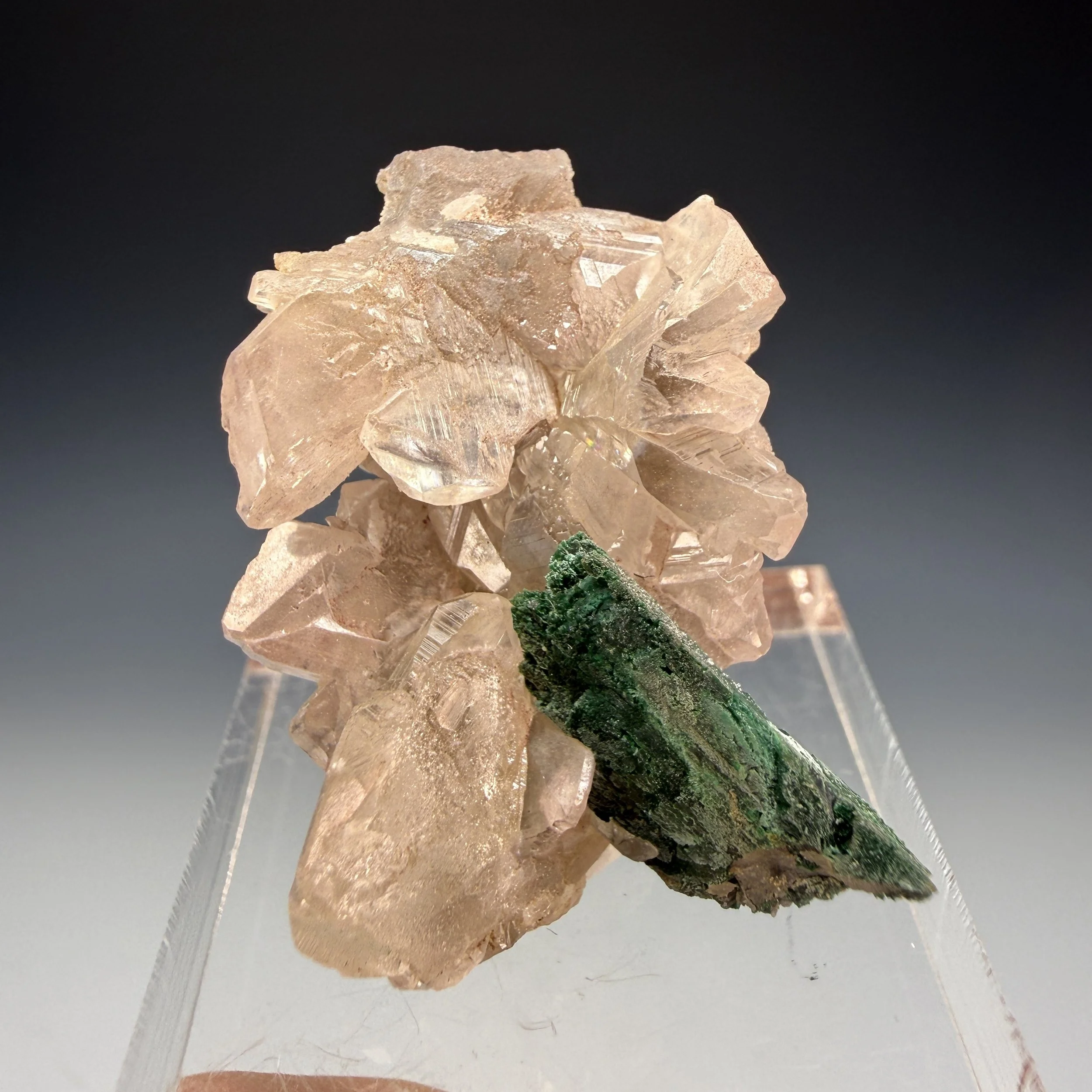 Cerussite, Malachite Ps. Azurite, Tsumeb Mine, Oshikoto Region, Namibia
