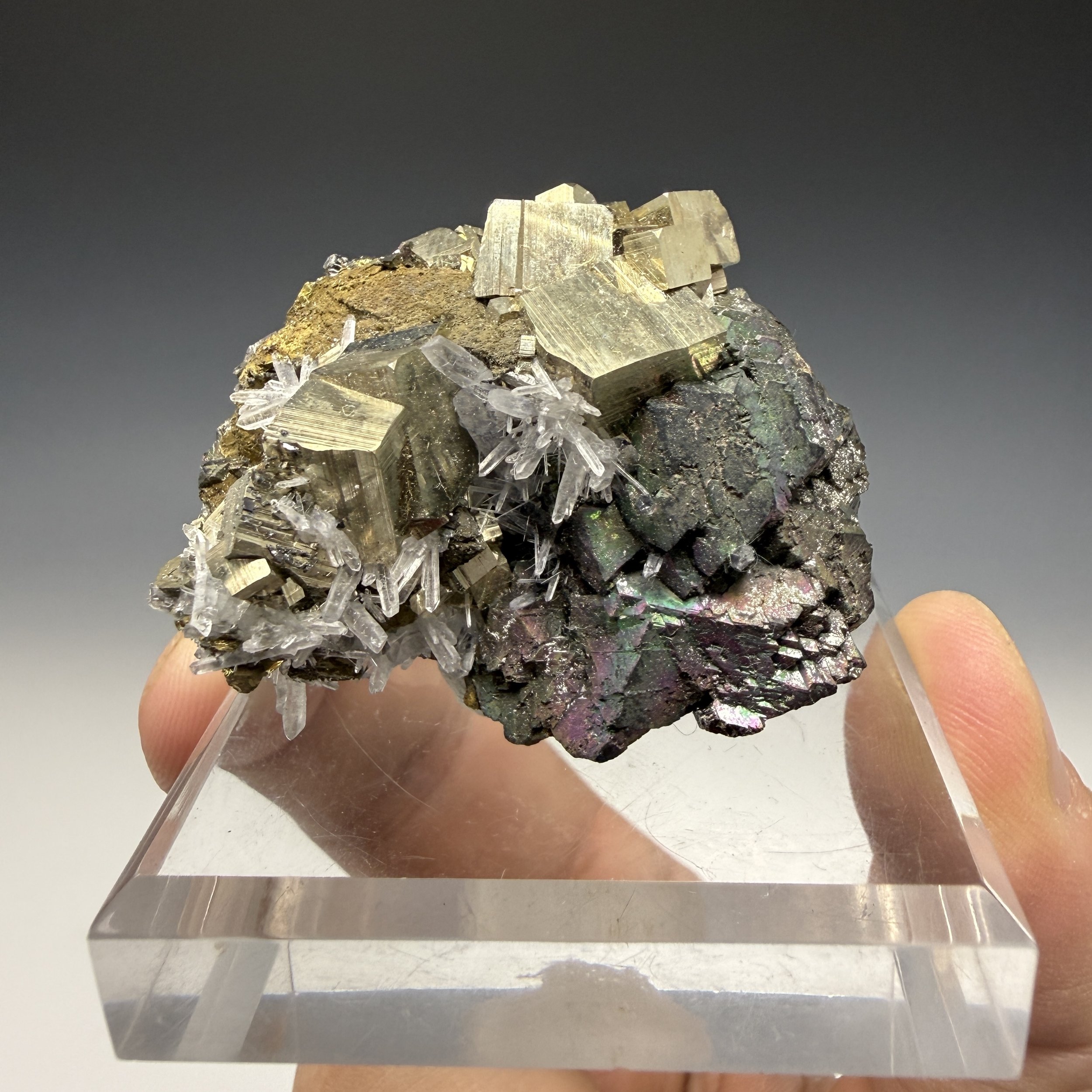 Sphalerite and Pyrite, Quartz, Huaron Mine, Huaron Mining Dist., Huayllay Dist., Pasco Prov., Pasco, Peru