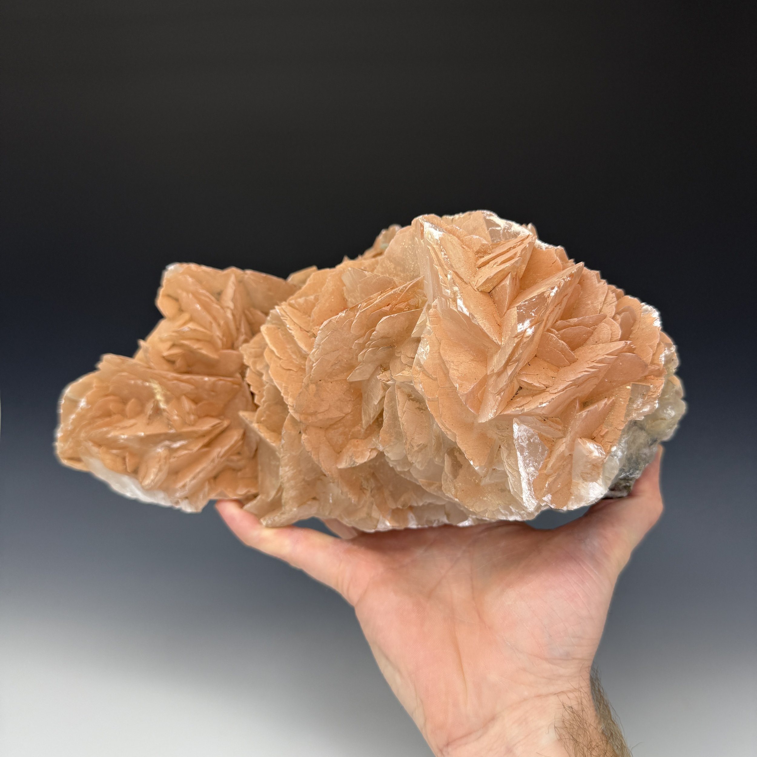 IMG_E5733.JPG (Copy)