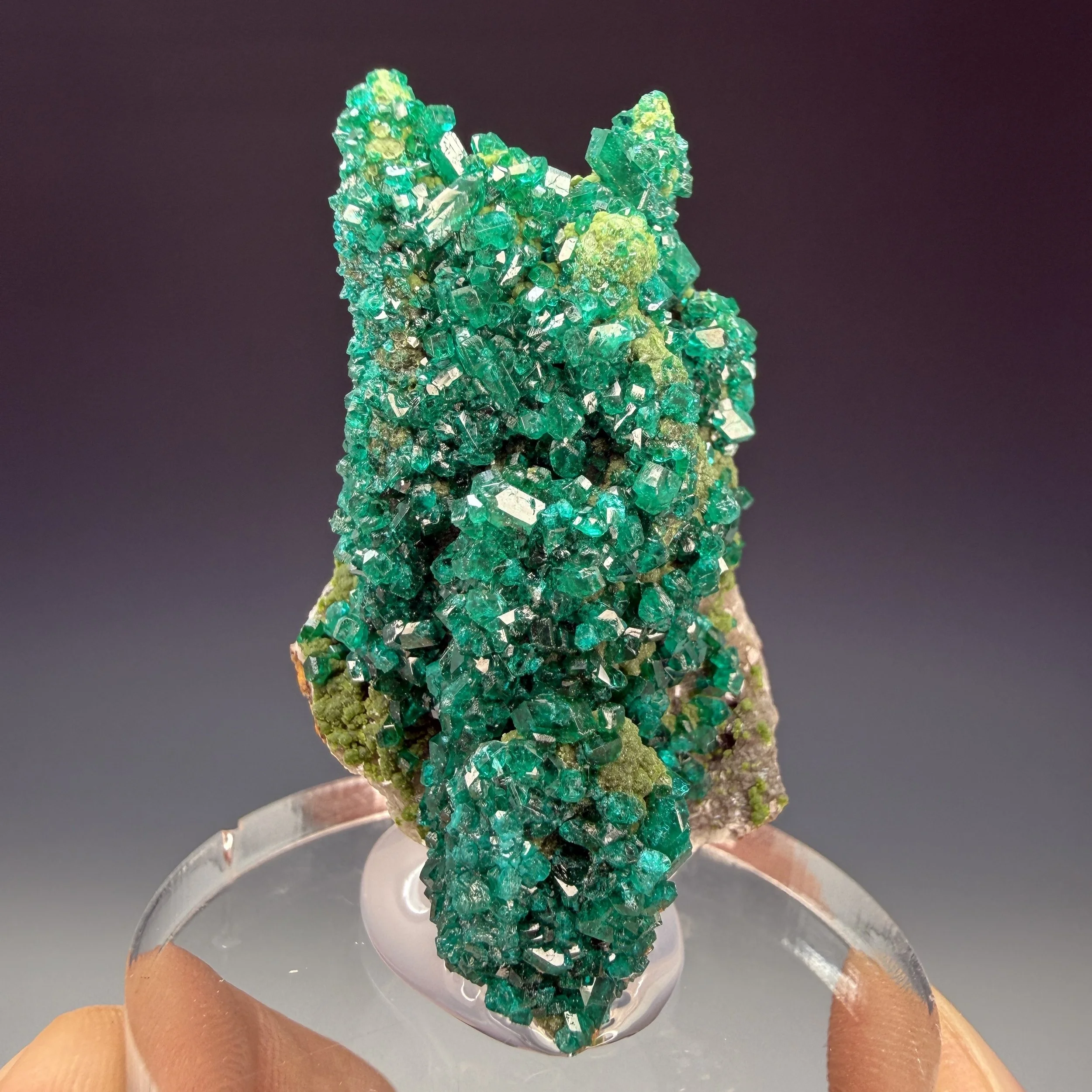 Dioptase, Duftite, Calcite, Tsumeb Mine, Oshikoto Region, Namibia