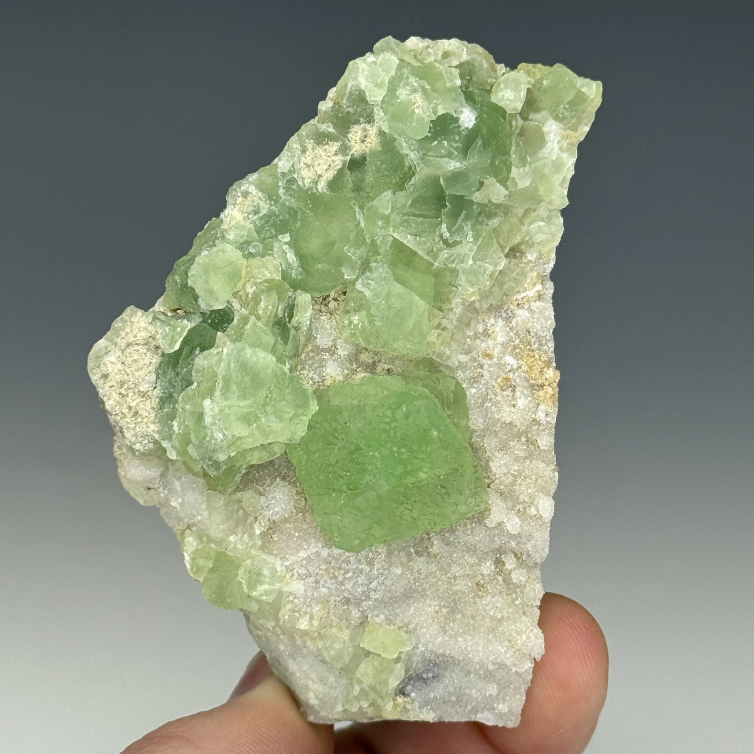 Fluorite, Felix Mine, Azusa, Los Angeles Co., California, USA