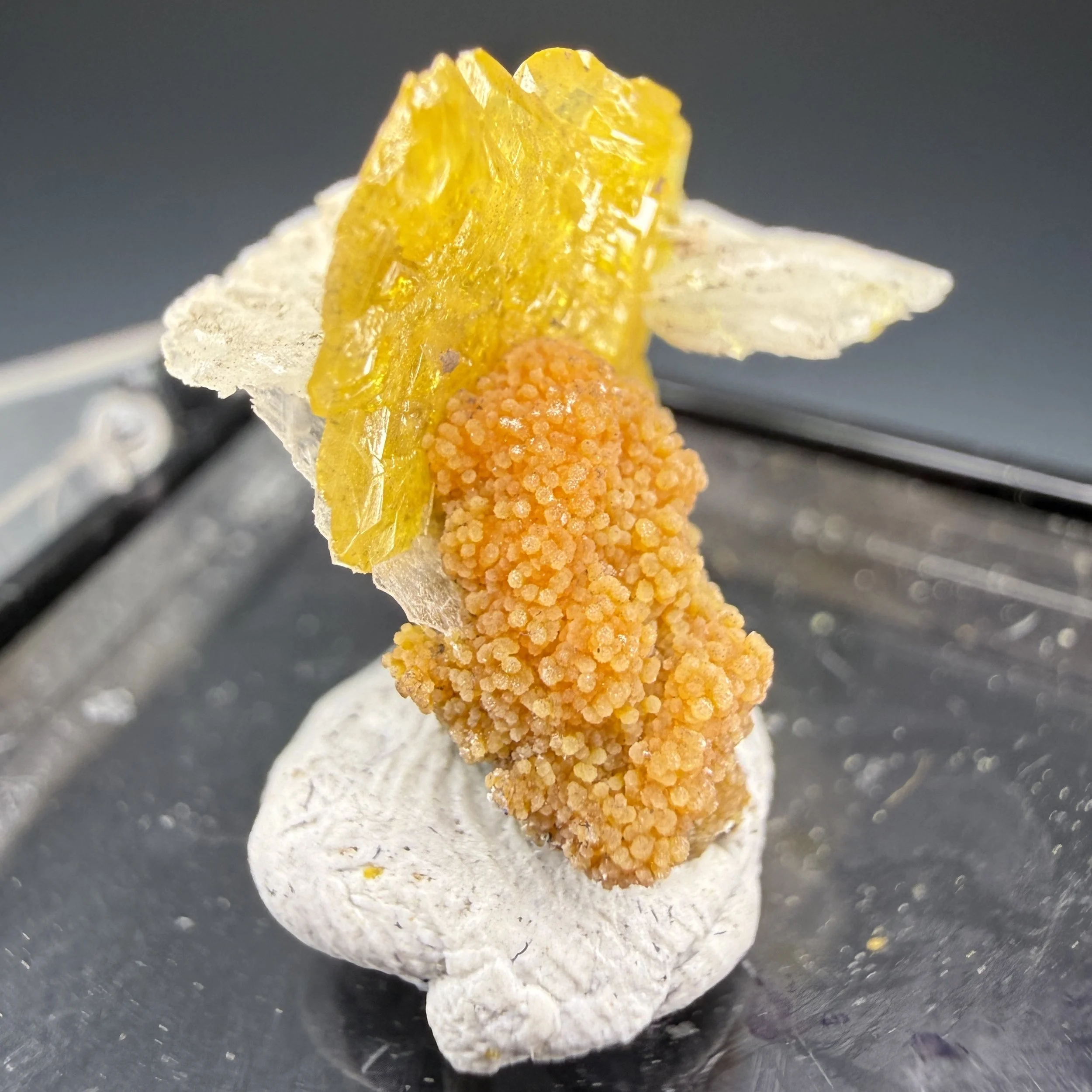 Wulfenite, Baryte, San Francisco Mine, Cerro Prieto, Cucurpe, Sonora, Mexico