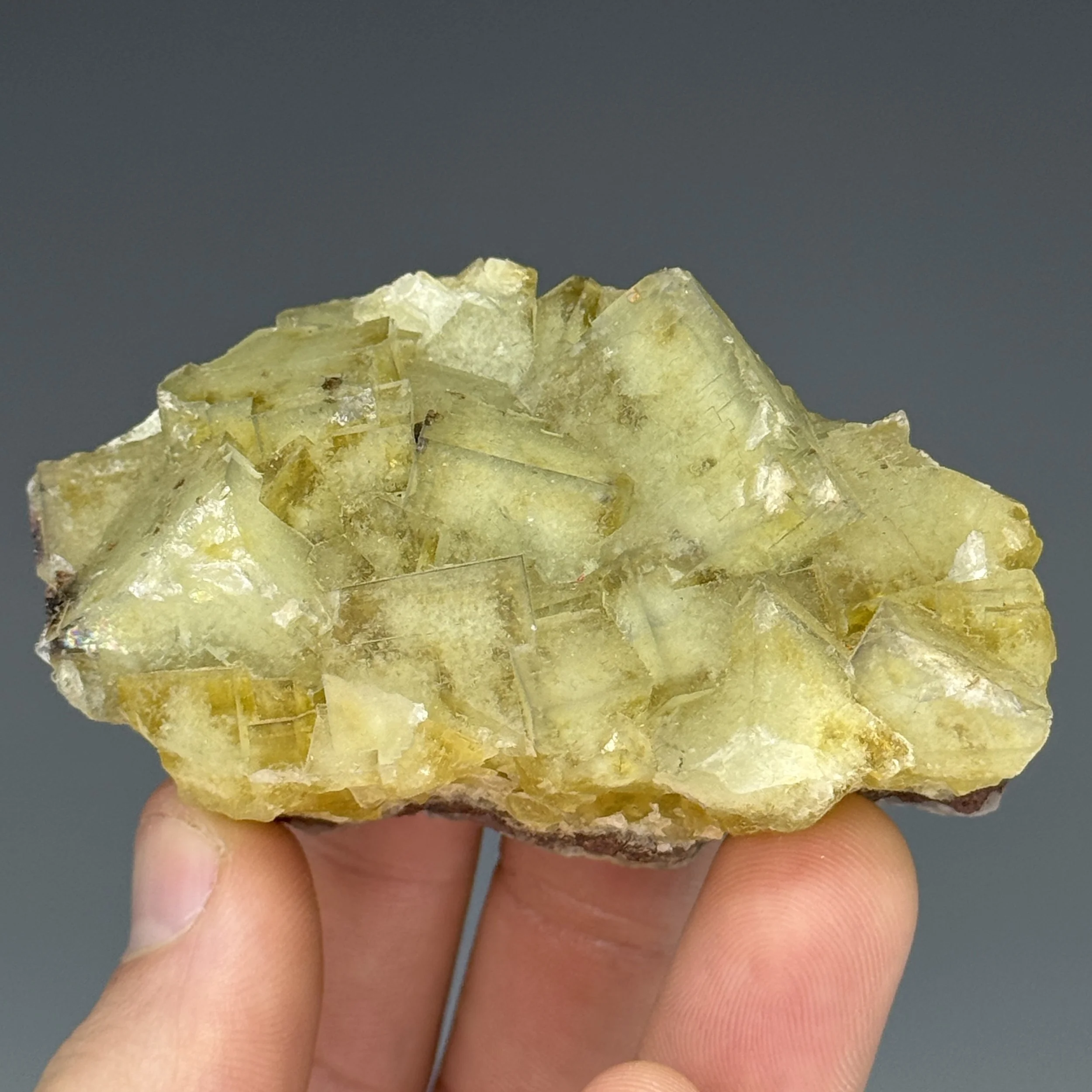 Fluorite, Inselt Schacht Mine, Frohnau, Annaberg-Buchholz, Saxony, Germany