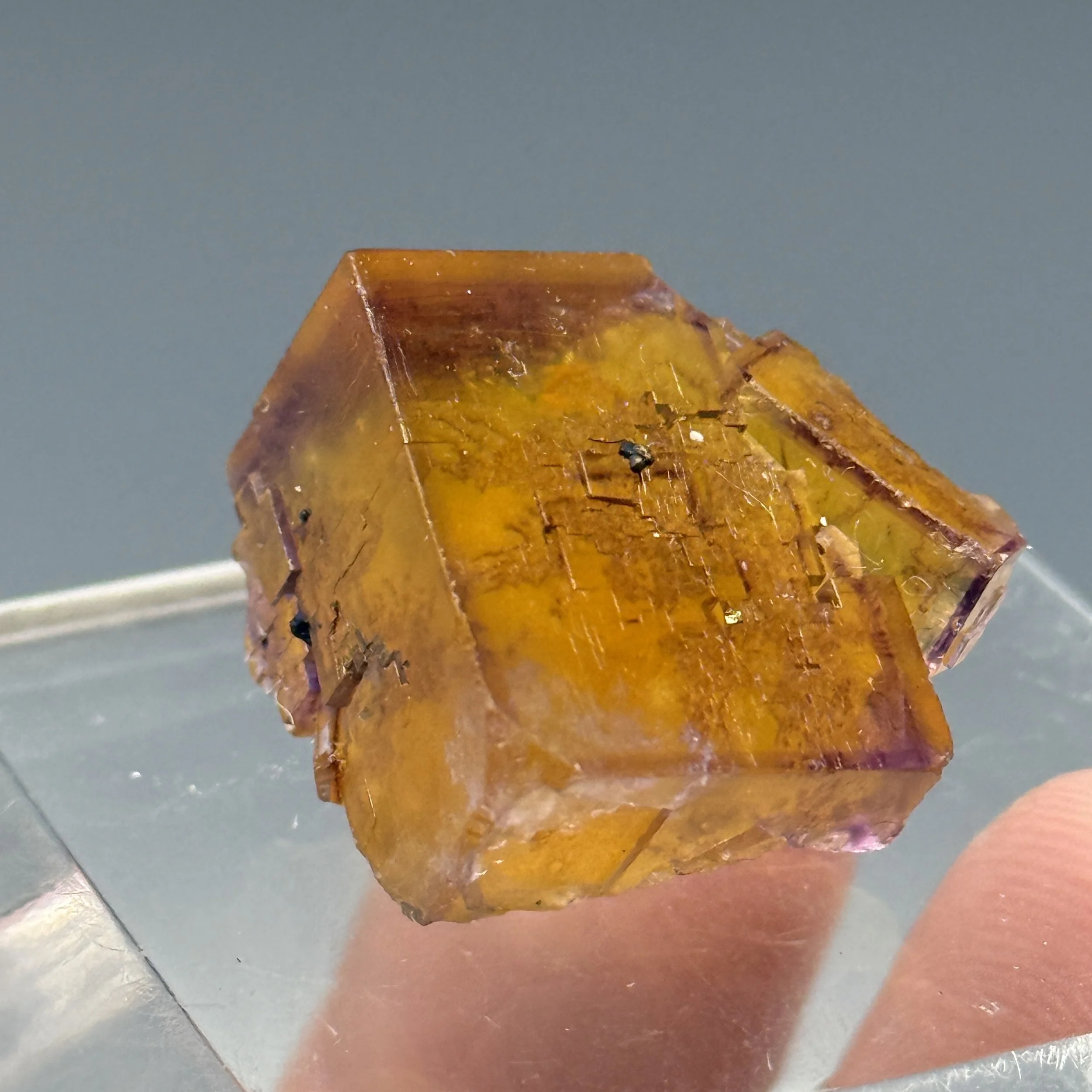 Fluorite, Bergmannisch Gluck Mine, Frohnau, Erzgebirgskreis, Saxony, Germany