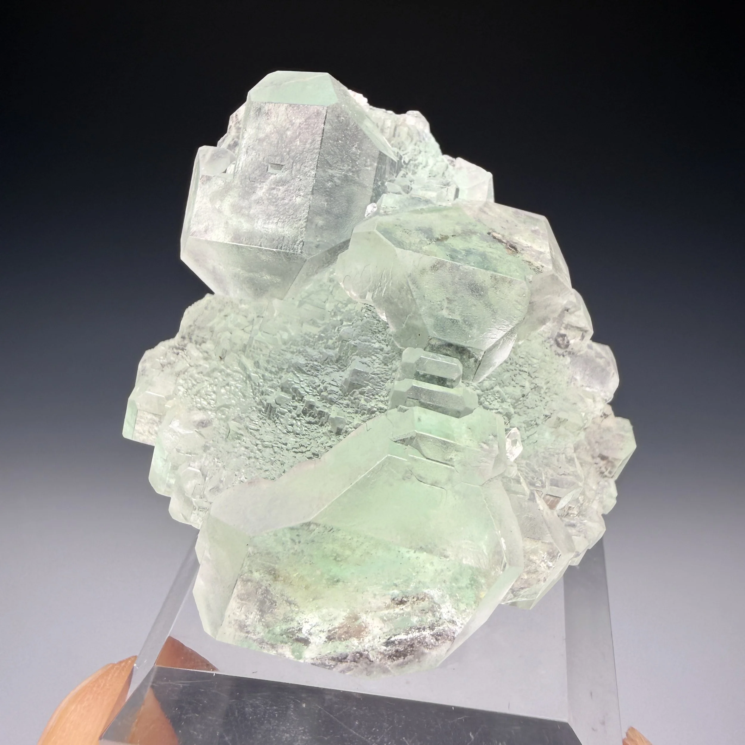 Fluorite, Naica Mine, Saucillo Municipality, Chihuahua, Mexico