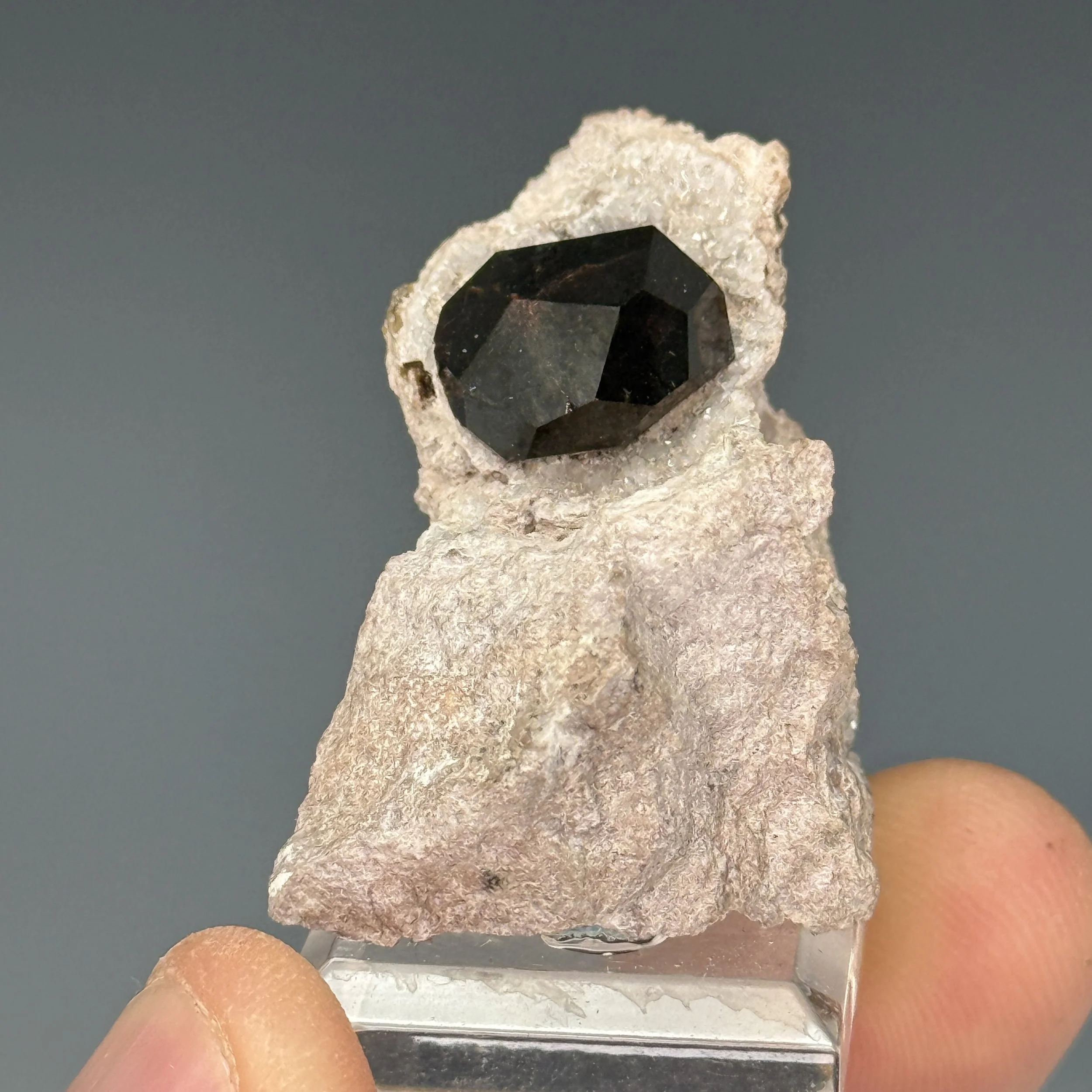 Almandine, Garnet Hill, Ely, Robinson Dist., Pine Co., Nevada, USA