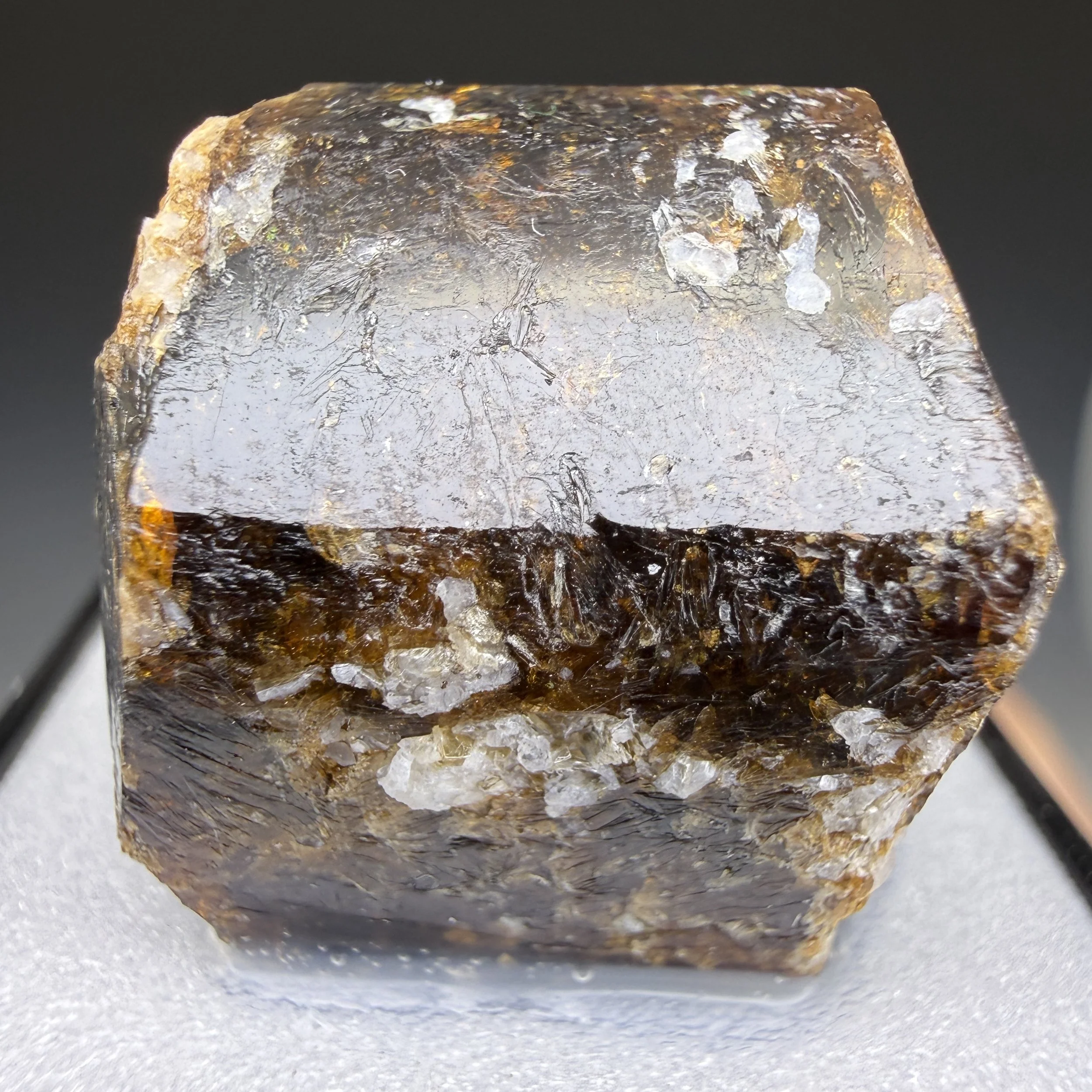 Dravite, Yinnietharra, Tomkap, West AUS, Australia