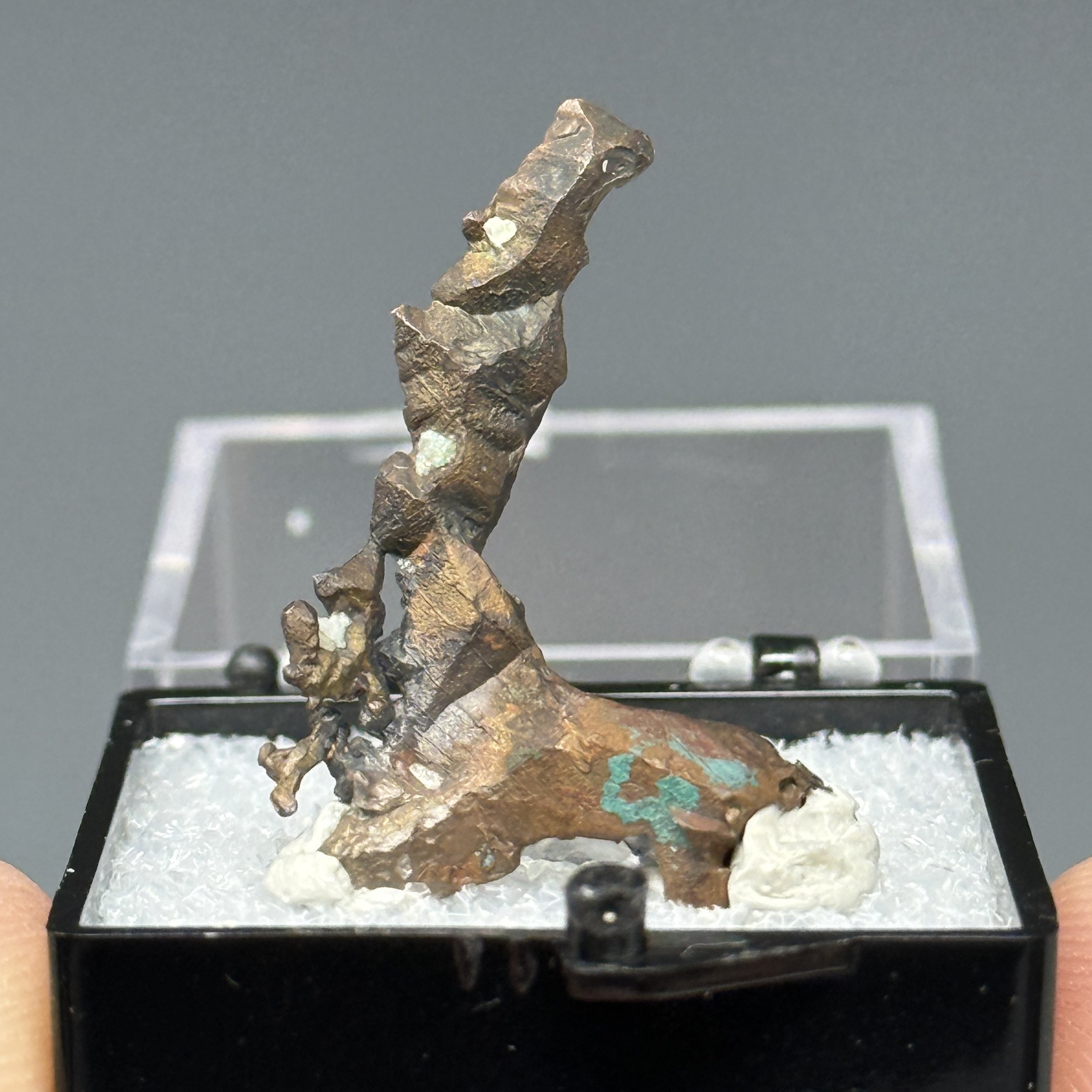 Copper, Houghton County, Keweenaw, Michigan, USA