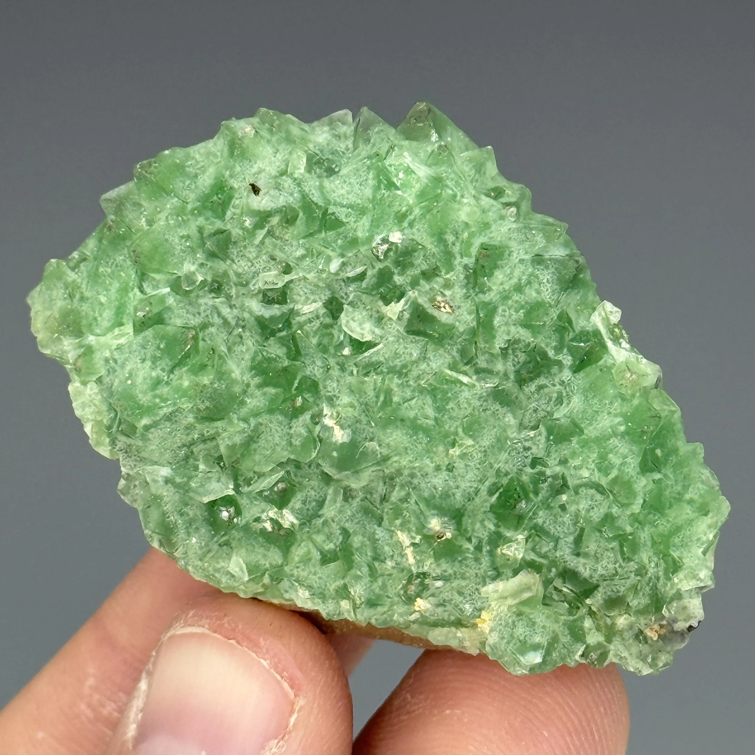 Fluorite, Nancy Hanks Mine, Unaweep Canyon, Mesa County, Colorado, USA