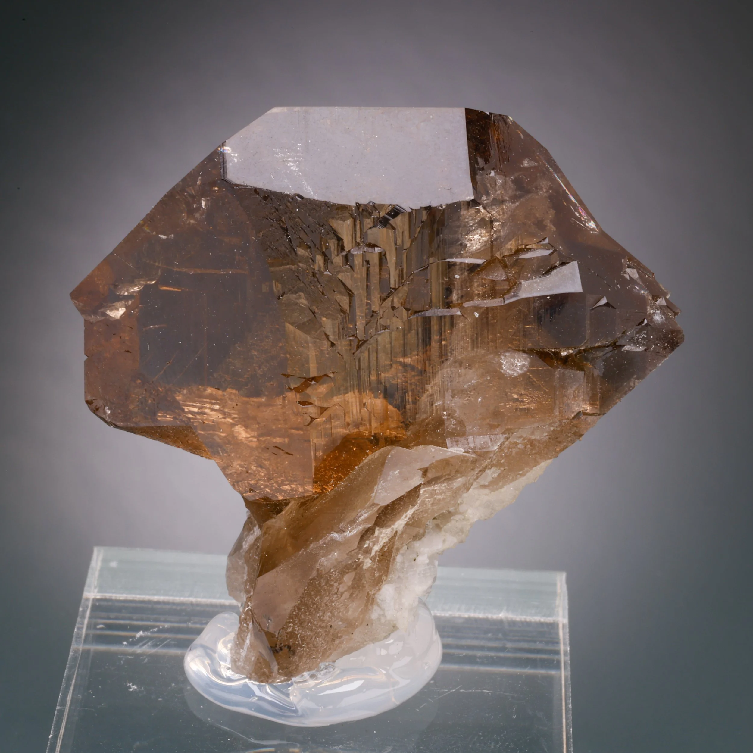 Smoky Quartz, Gwindel, Dente del Gigante, Mont-Blanc, Bonneville, Savoie, Auvergne-Rhone-Alpes, France