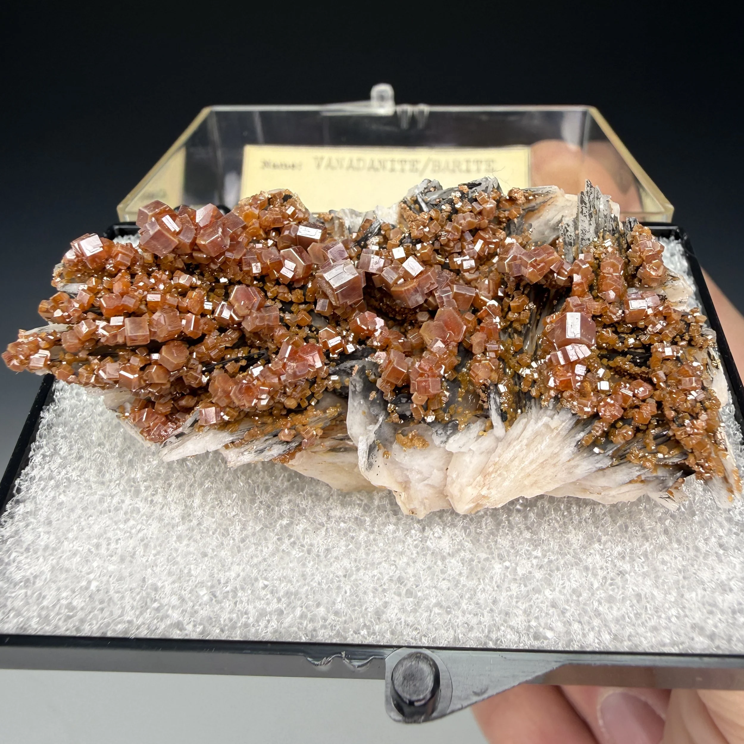 Vanadinite, Baryte, Mibladen Mining District, Midelt Province, Draa-Tafilalet Region, Morocco