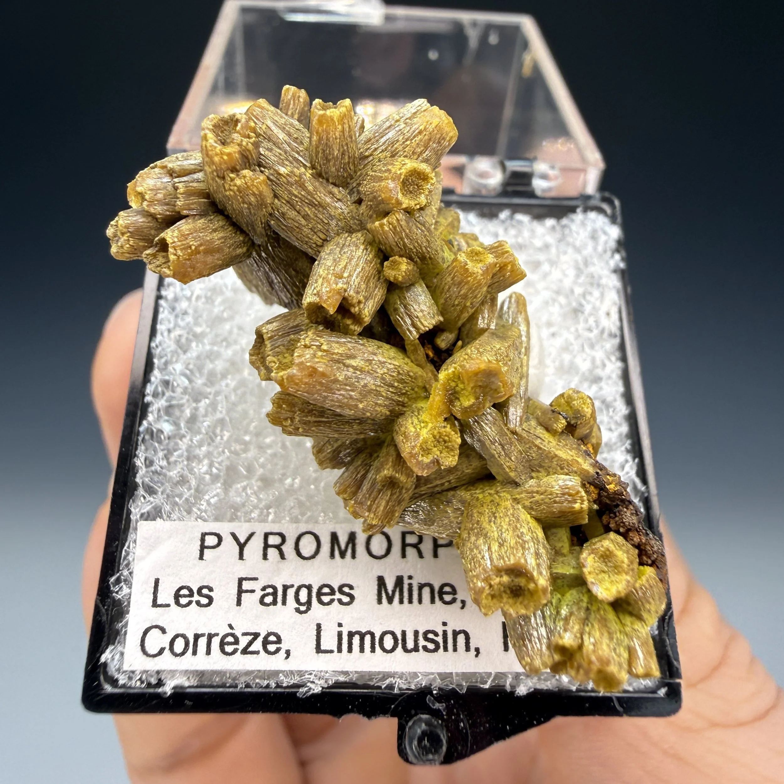 Pyromorphite, Les Farges, Ussel, France