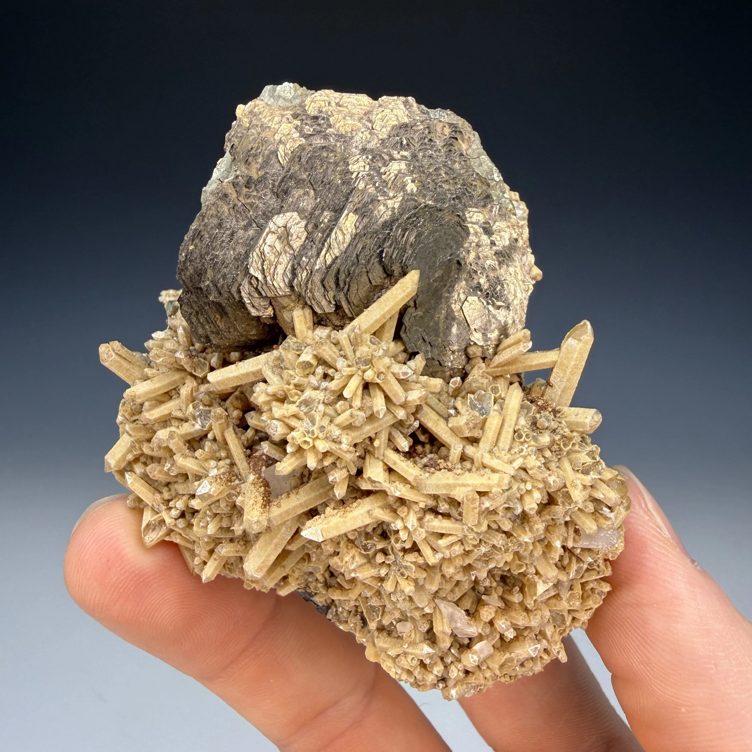Pyrrhotite, Quartz, Pyrite, Calcite, Nikolaevskiy Mine, Dalnegorsk, Primorsky Krai, Russia