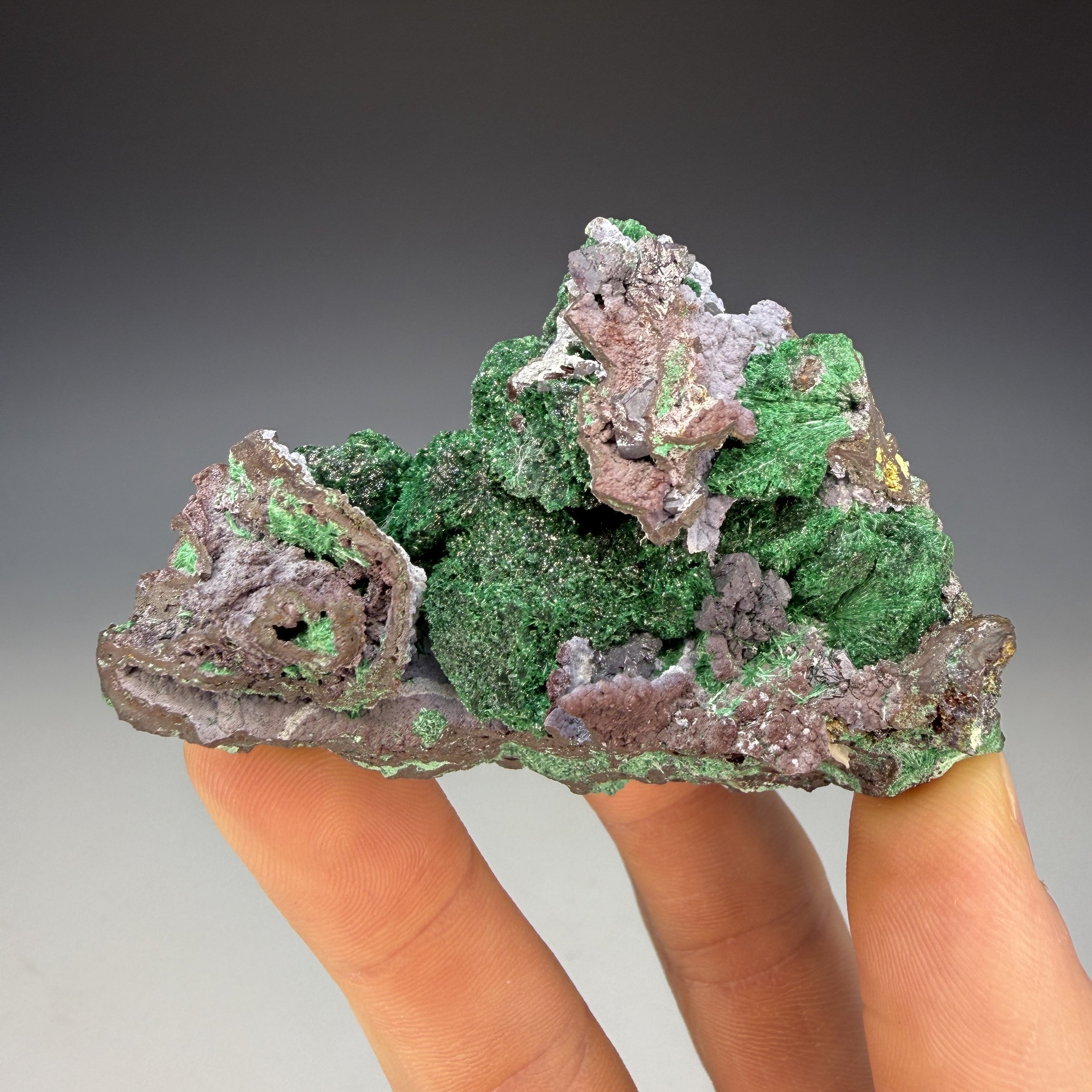 Cuprite, Malachite, Bisbee, Cochise County, Arizona, USA