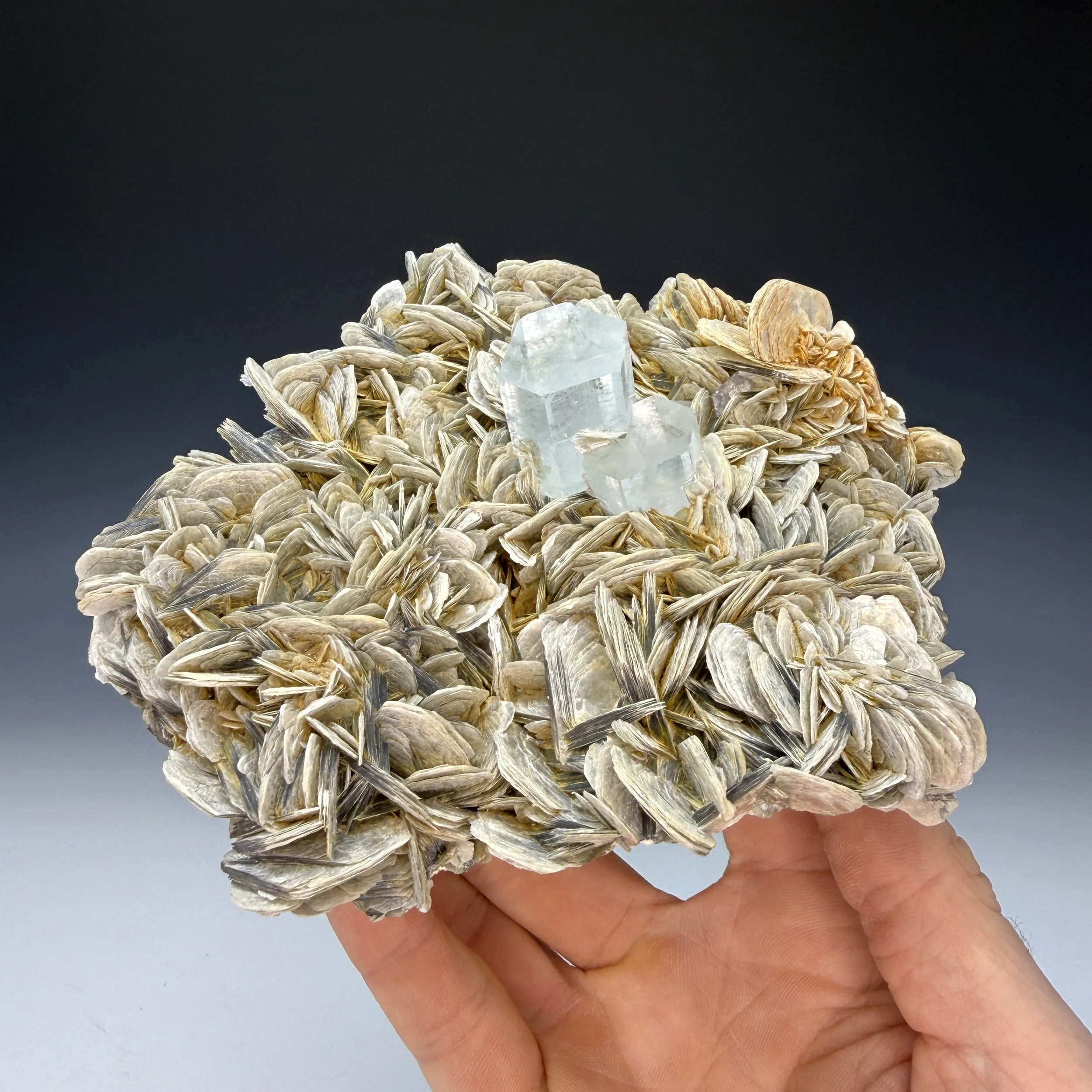 Aquamarine, Muscovite, Nagar District, Gilgit-Baltistan, Pakistan