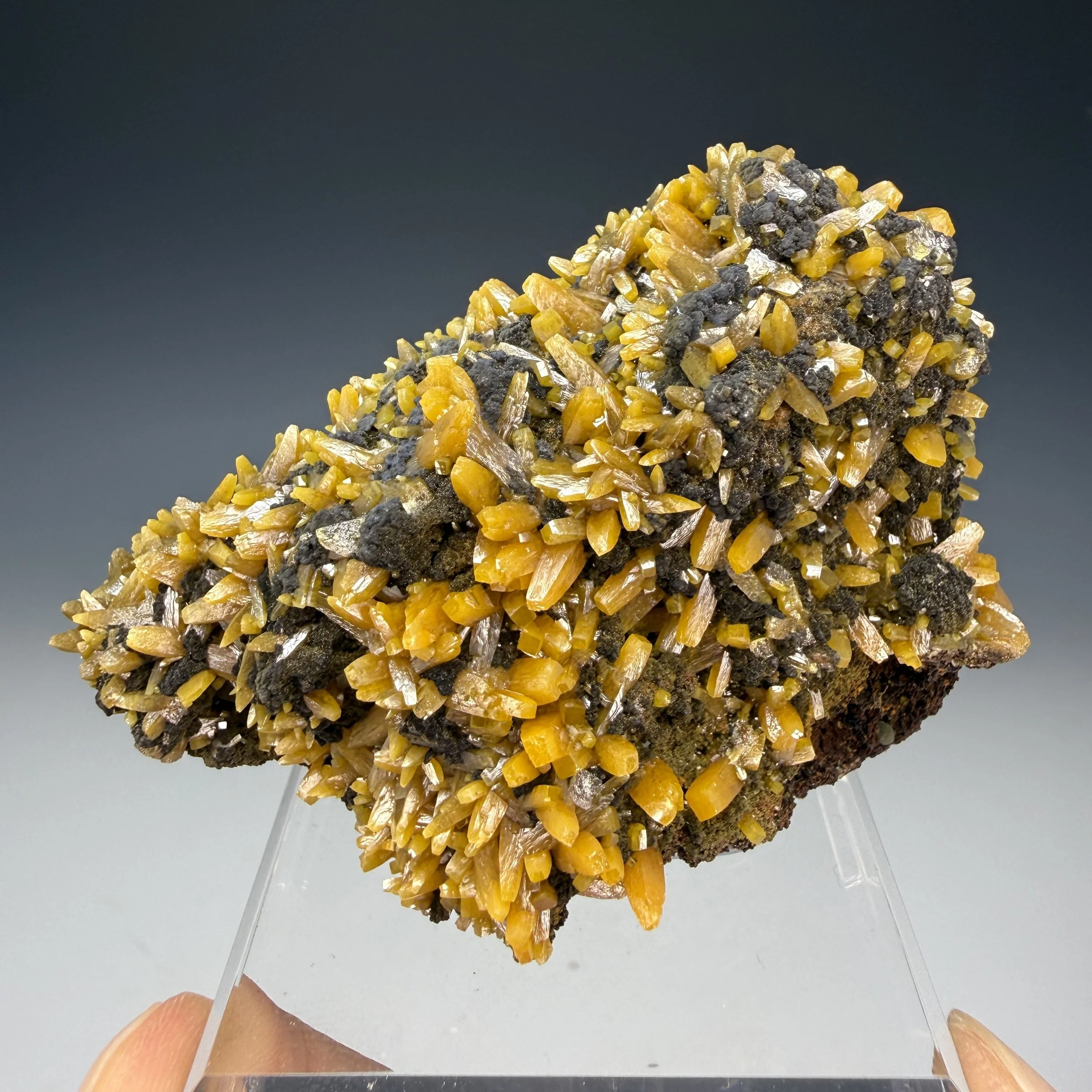 Wulfenite, Ojuela Mine, Mapimi, Durango, Mexico