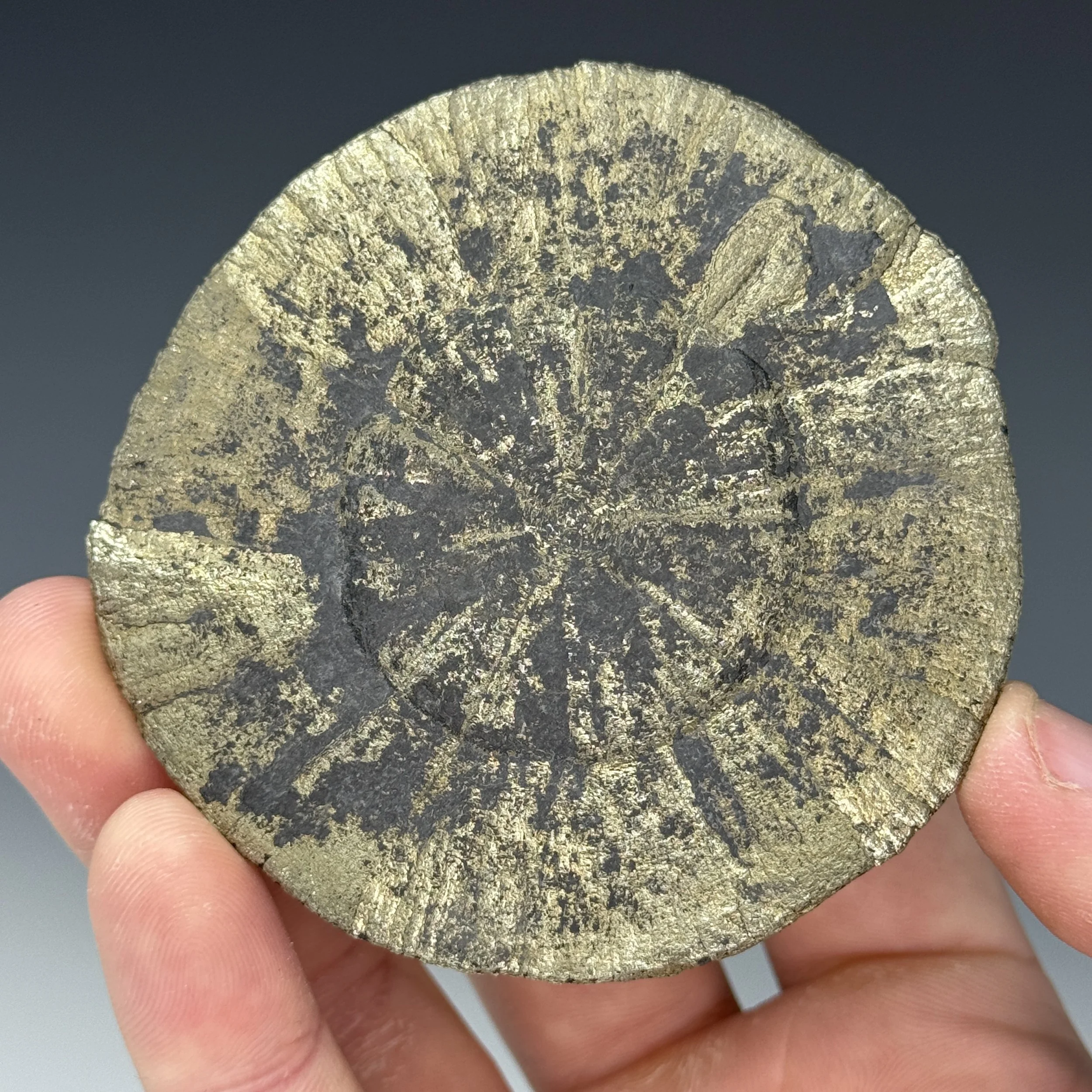 Pyrite Sun, Illinois, USA
