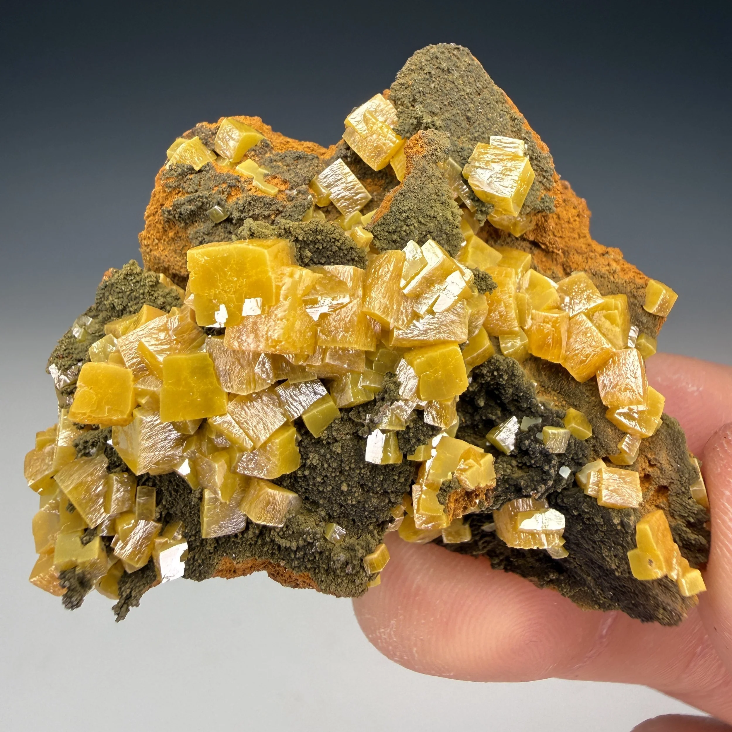 Wulfenite, Mottramite, 7 Lvl. America Poniente, Ojuela, Mapimi, Mapimi Municipality, Durango, Mexico