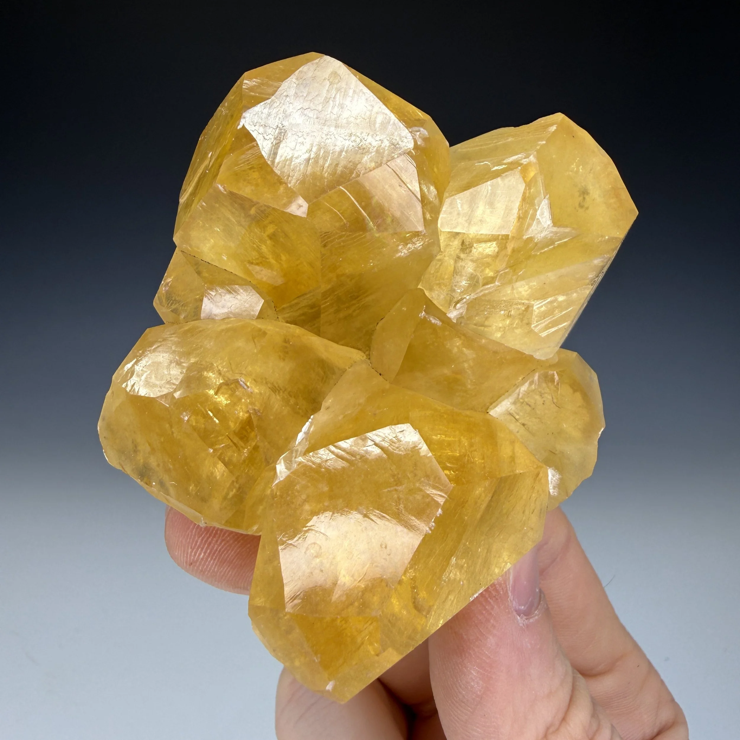 IMG_0060.JPG