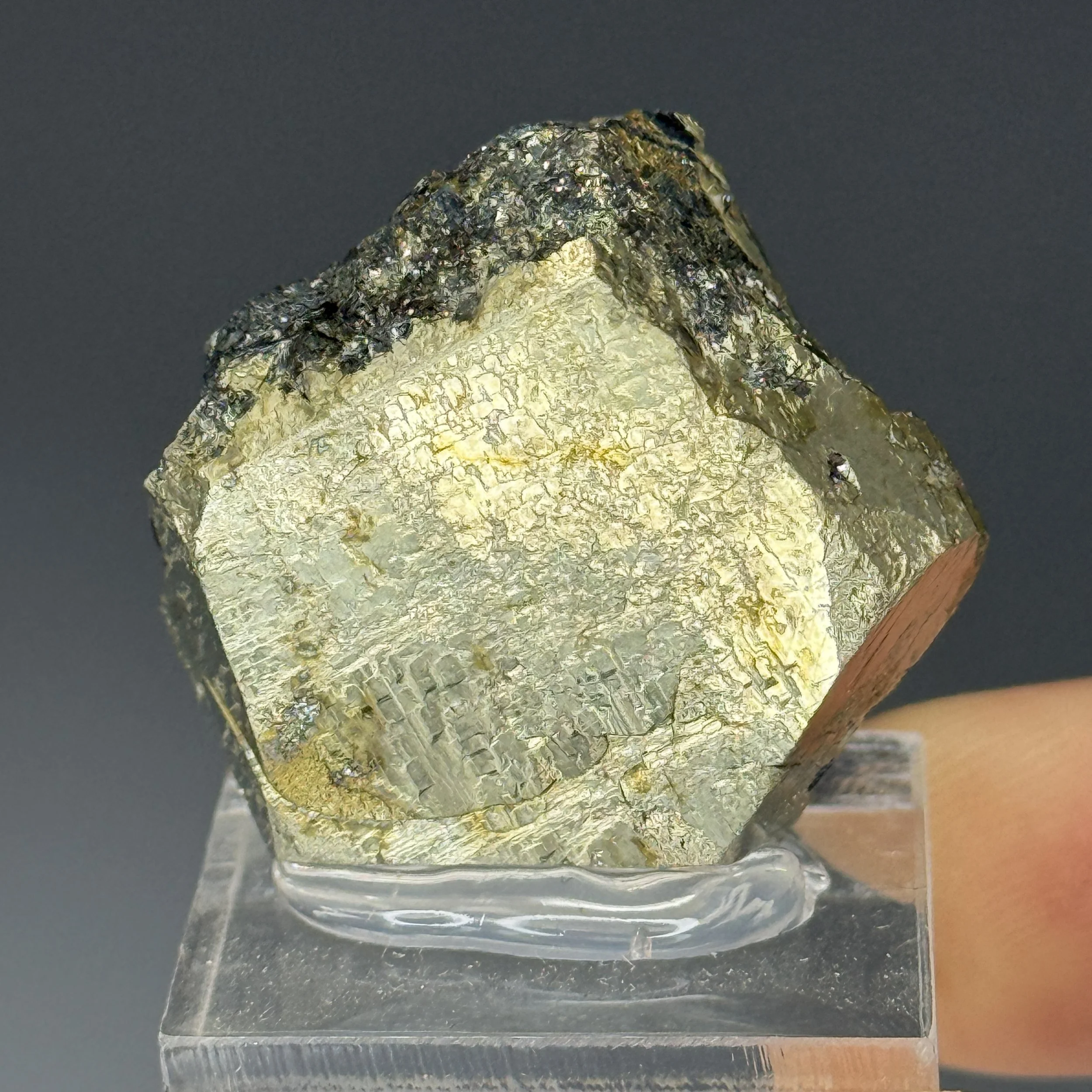 Pyrite, Hematite, Rio Marina, Rio, Livorno Province, Tuscany, Italy