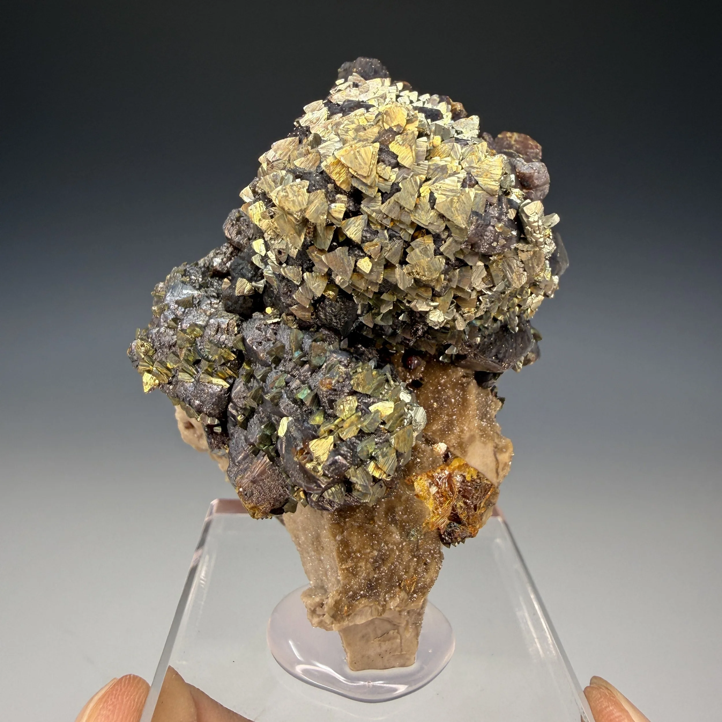 Chalcopyrite, Sphalerite, Ballard Mine, Baxter Springs, Picher Field, Kansas, USA