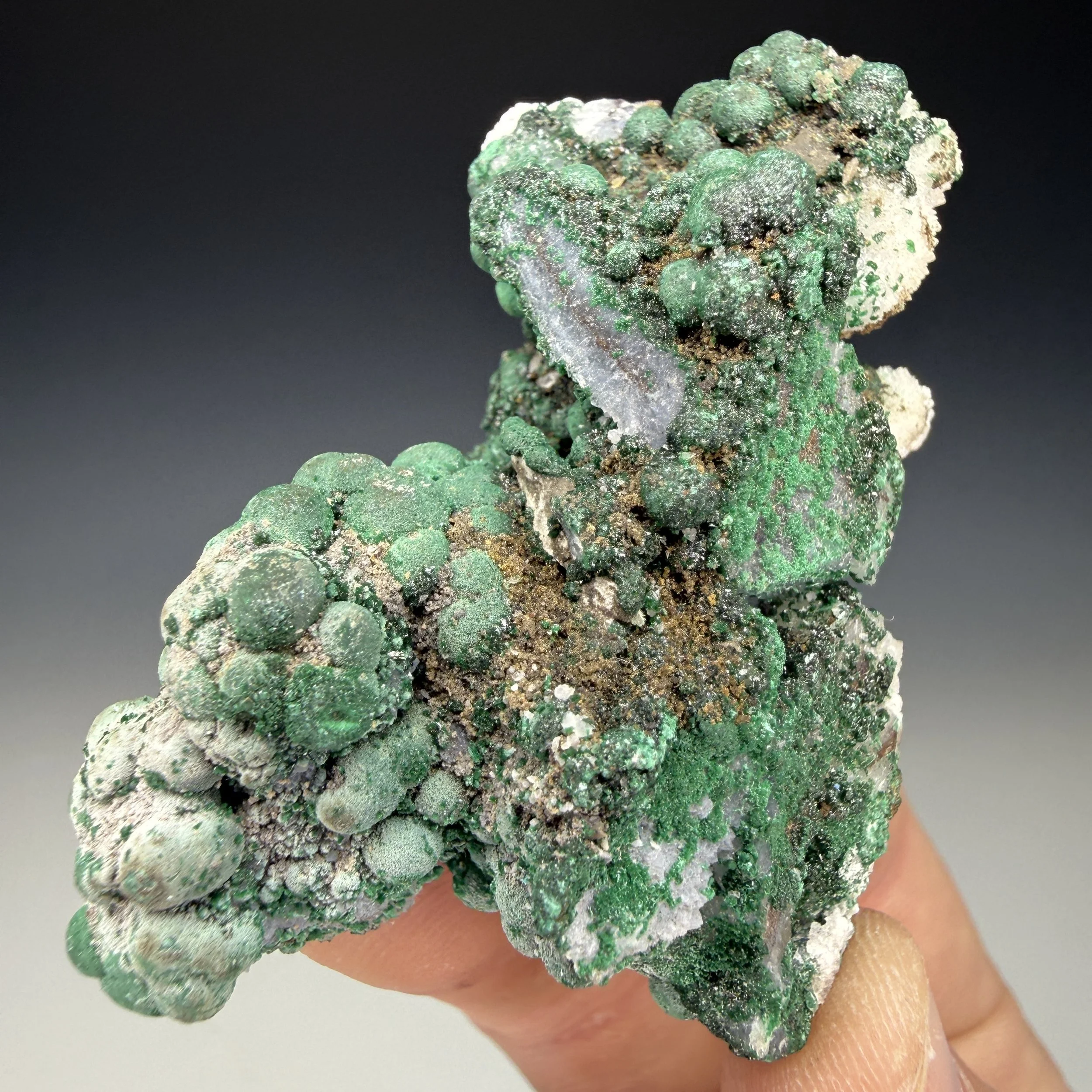 Atacamite, Malachite, Quartz, Copiapo Prov., Atacama, Chile