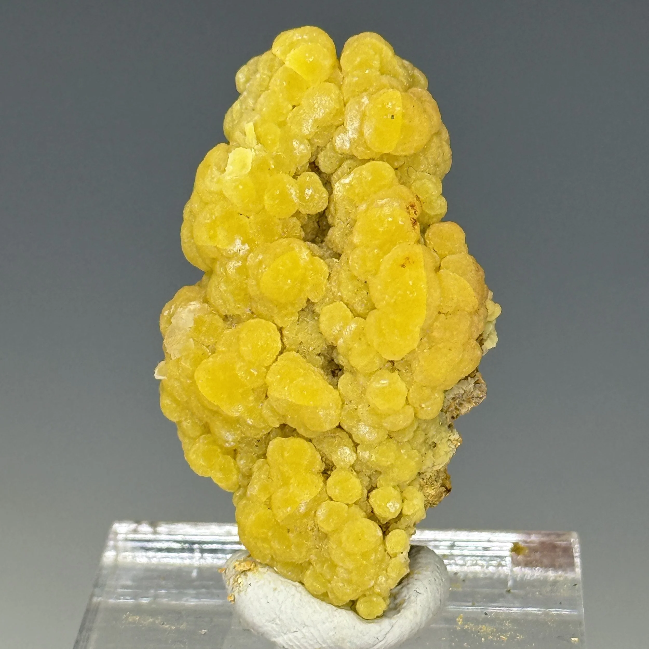 Mimetite, San Pedro Mine, Casas Grandes Municipality, Chihuahua, Mexico