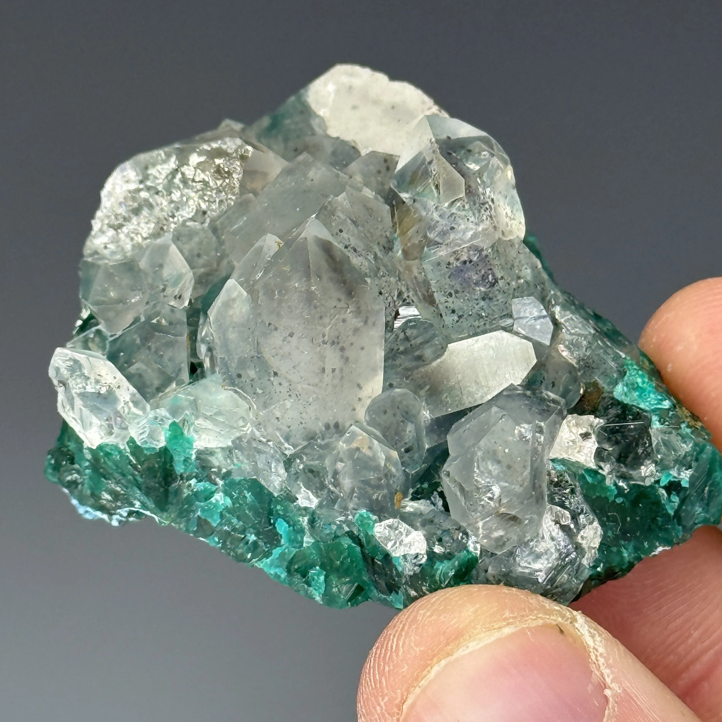 Dioptase, Quartz, Mindouli, Pool Department, Republic of the Congo
