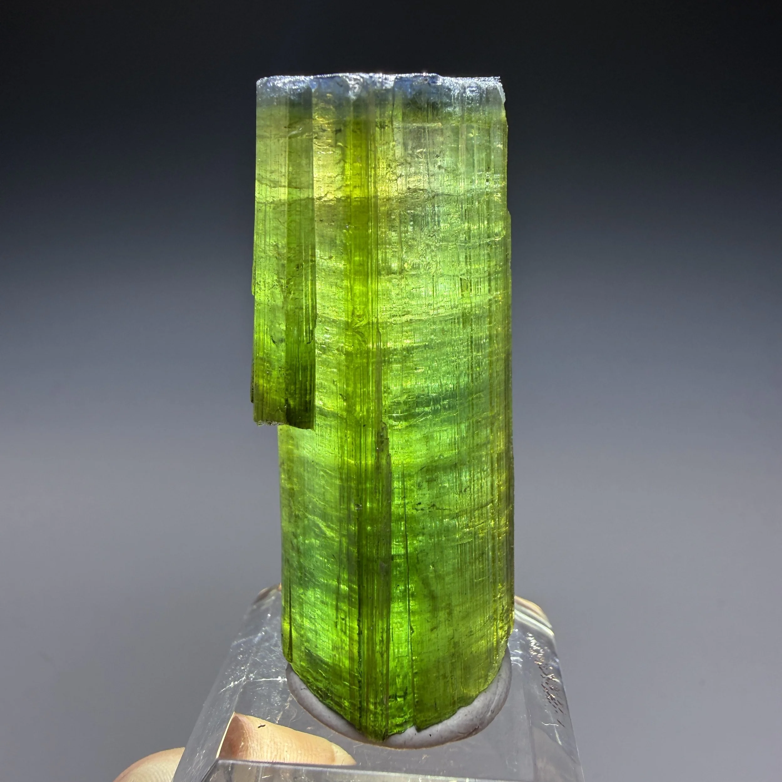 Tourmaline, Aricanga Mine, Sao Jose da Safira, Minas Gerais, Brazil