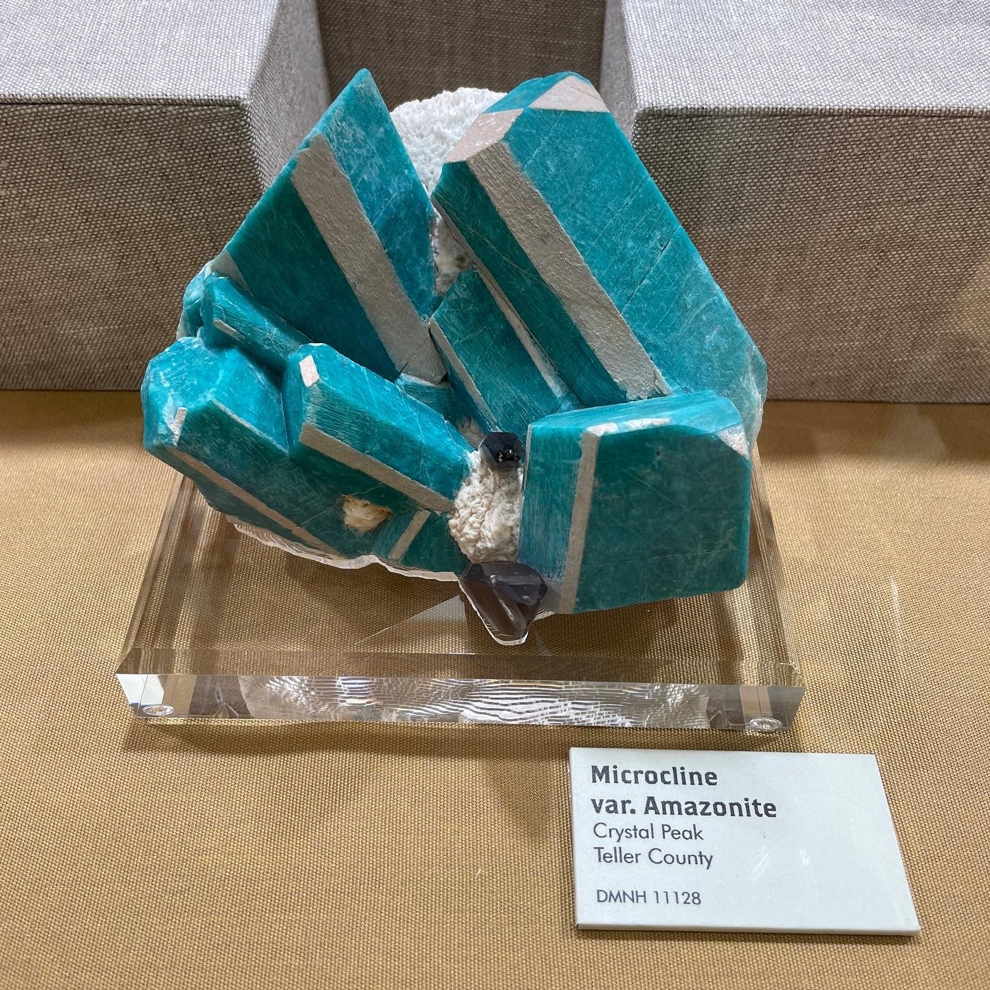 1C4AB01A-1D5C-4F62-962C-D3C3C7DC243E.jpg