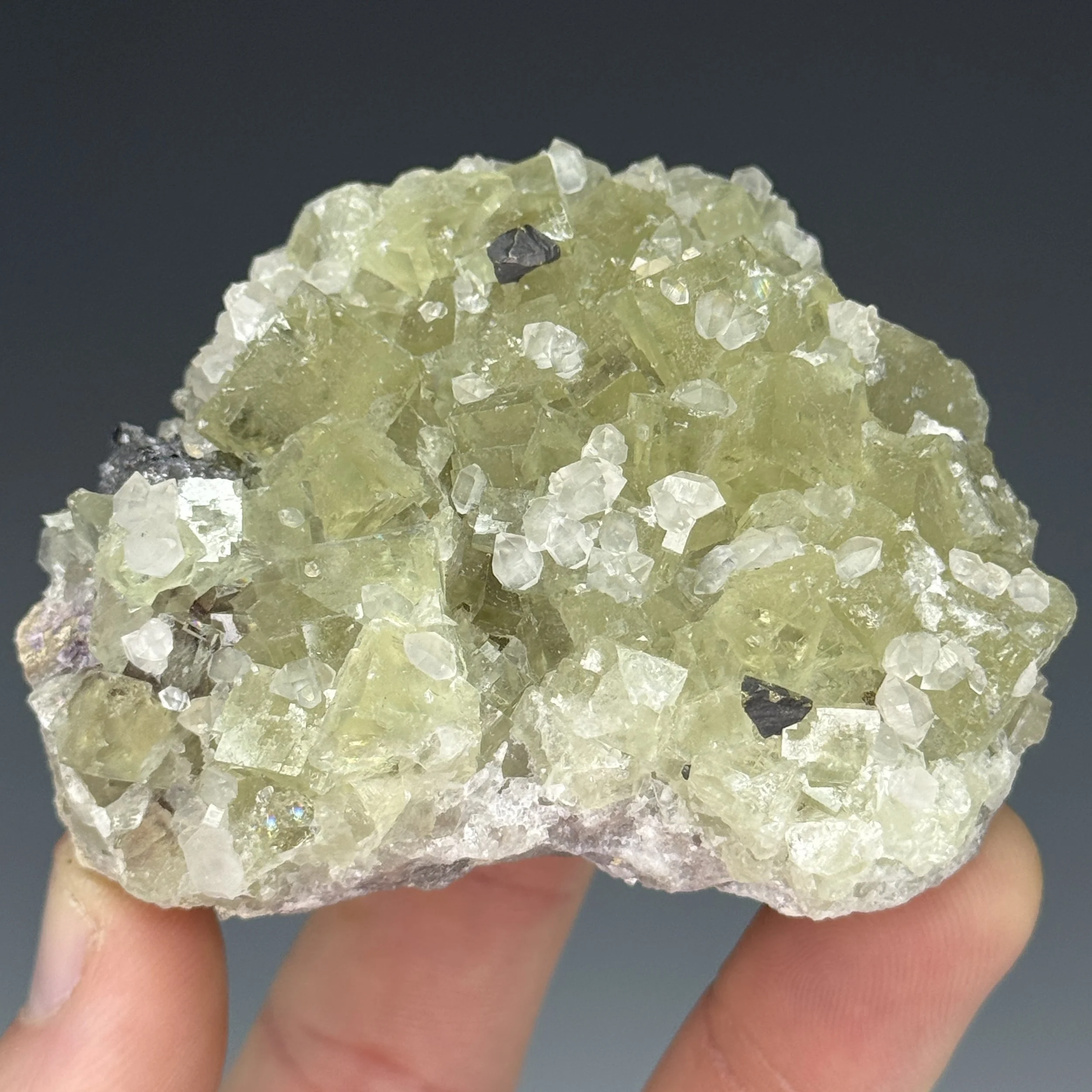 Fluorite, 4th Level, Niederschlag mine, Barenstein, Erzgebirgskreis, Saxony, Germany