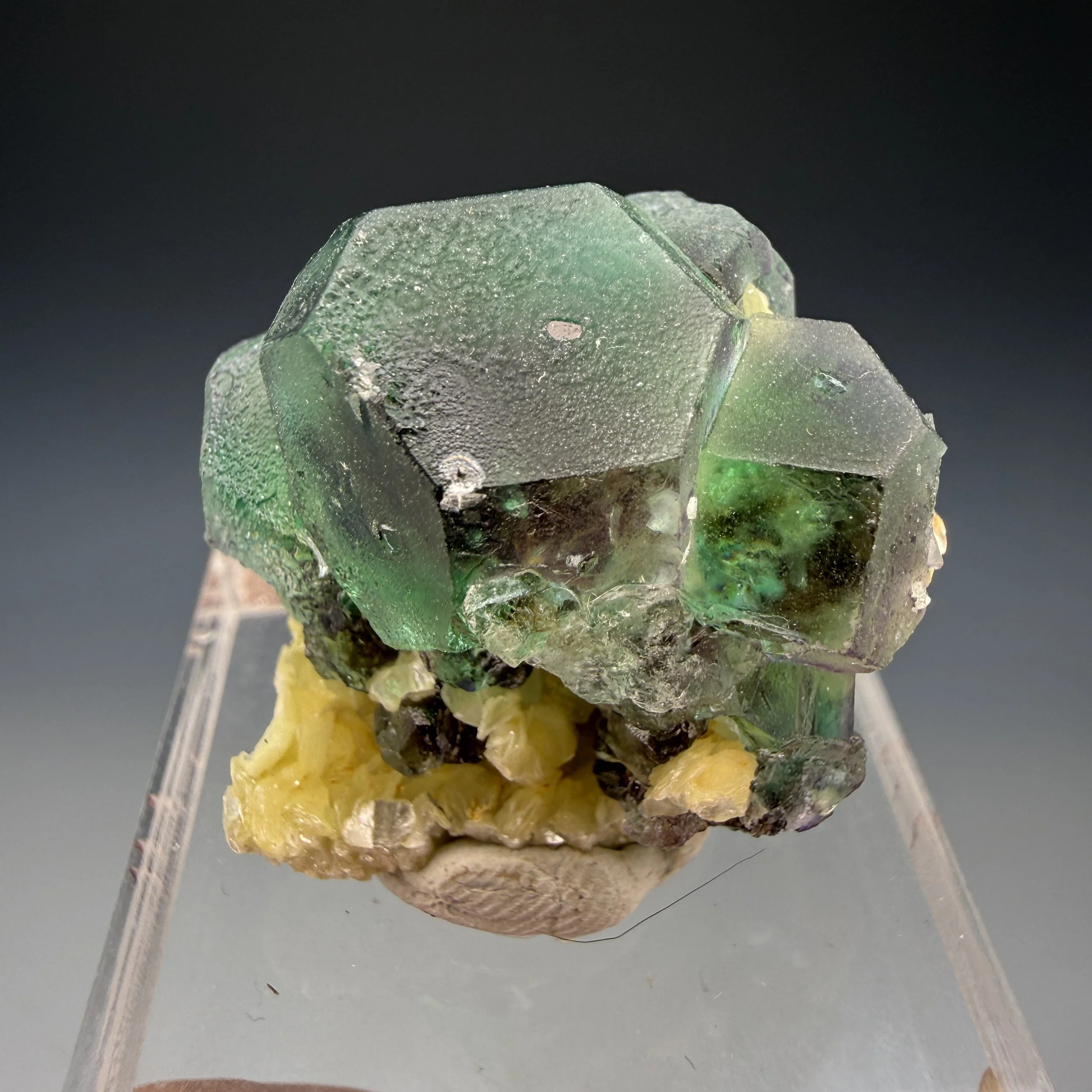 Fluorite, Muscovite, Erongo Mountains, Karibib District, Erongo Region, Namibia