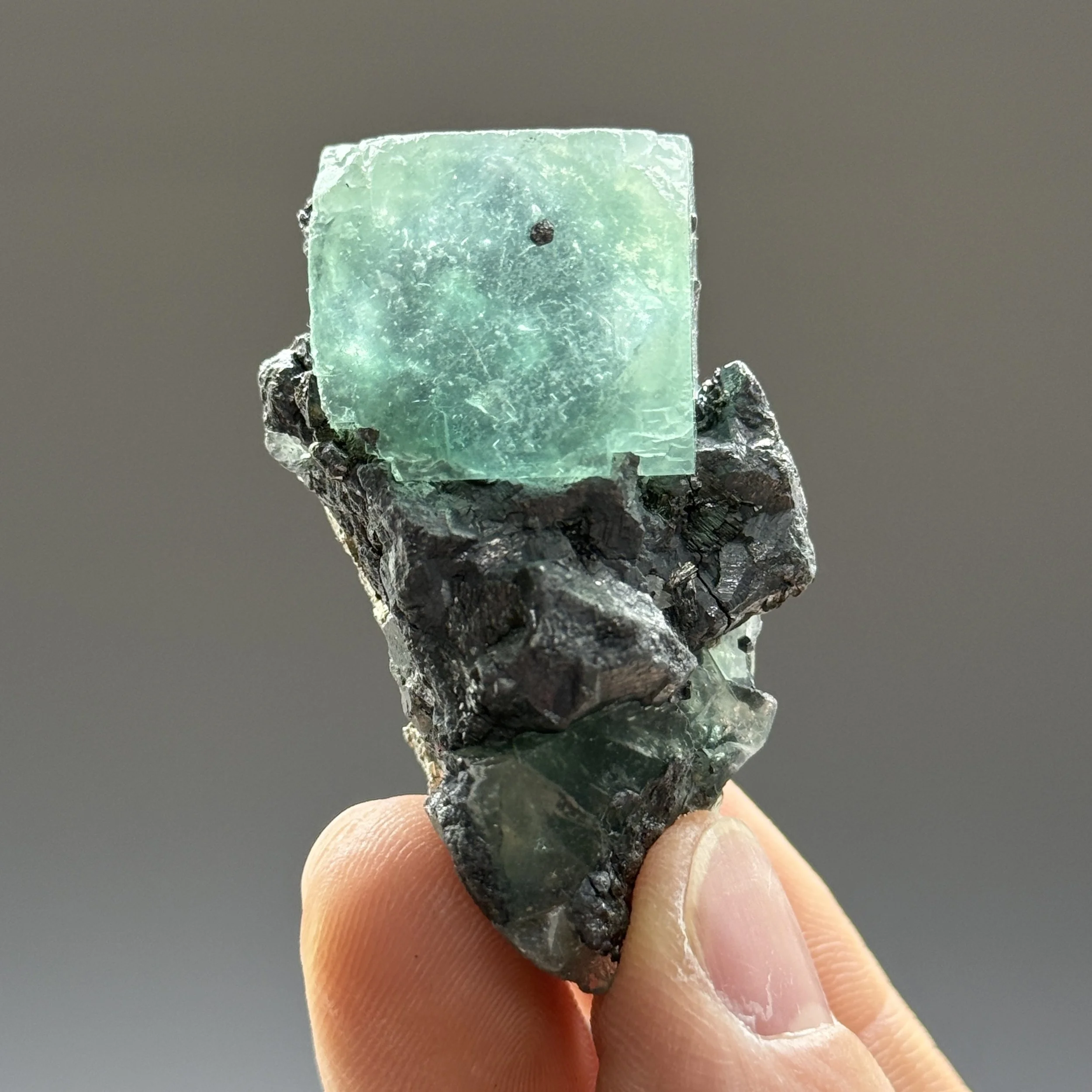 Fluorite, Milpo Mine, Atachocha District, Pasco, Peru