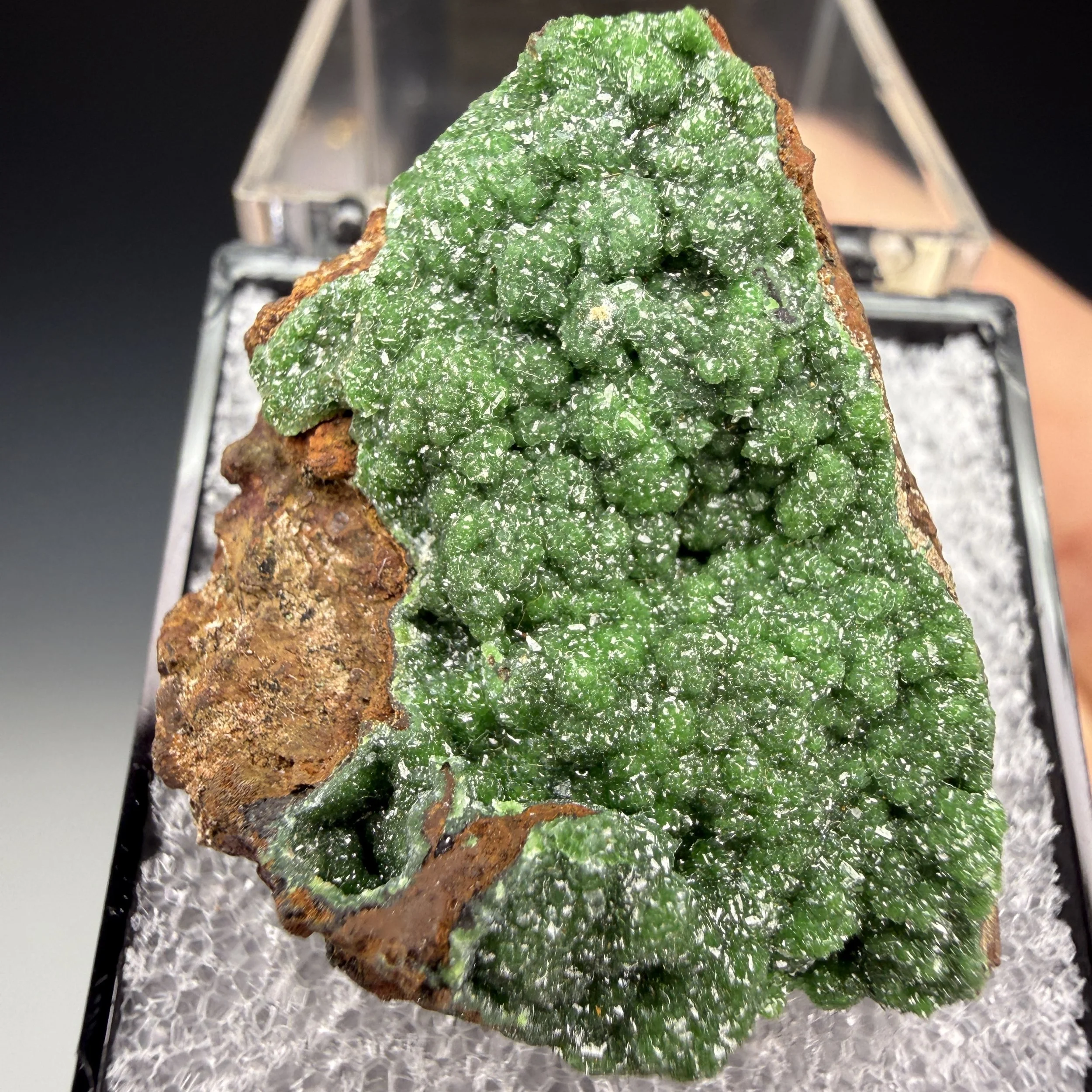 Austinite, Ojuela Mine, Mapimi, Durango, Mexico