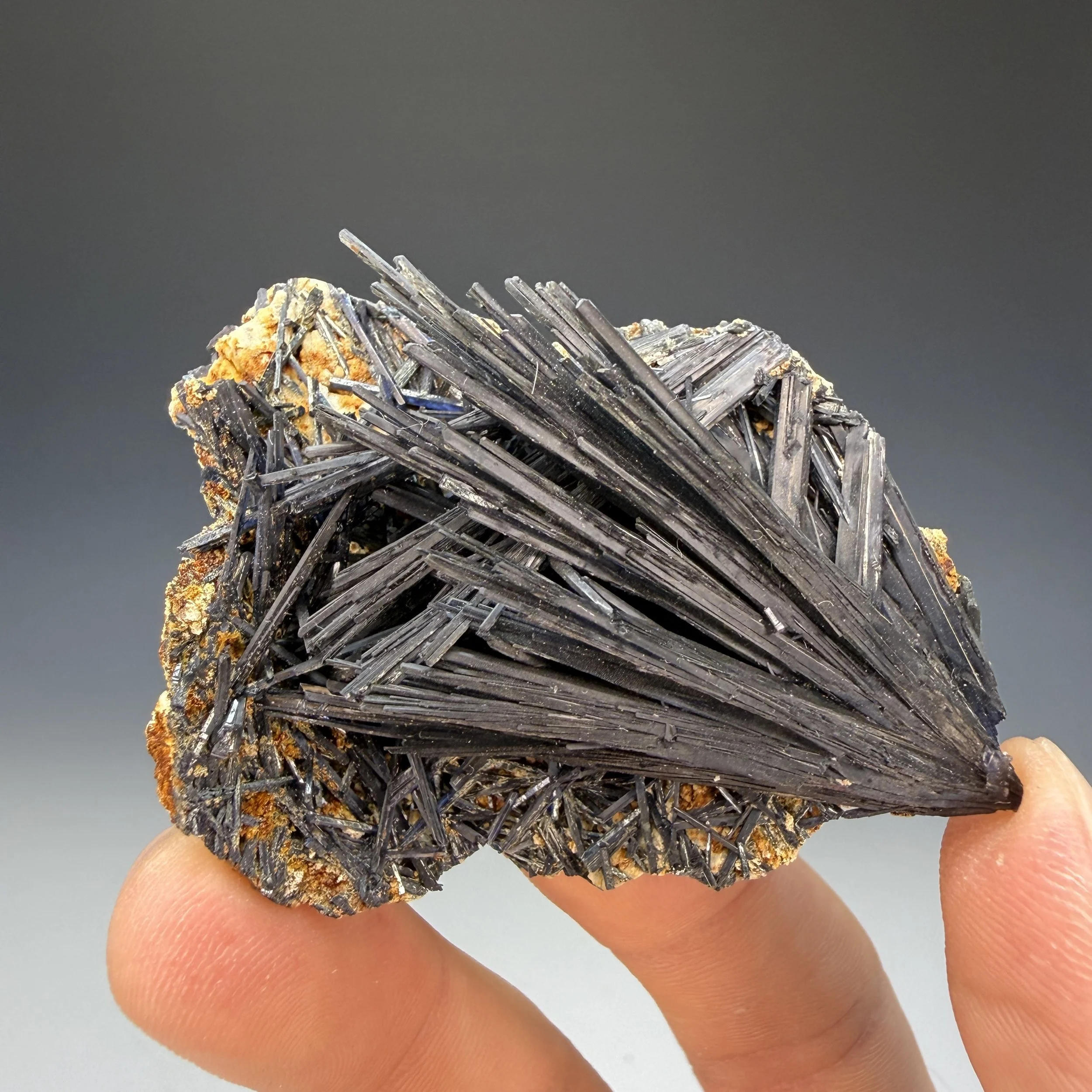 Vivianite, Huanuni Mine, Pantaleon Dalence Province, Oruro, Bolivia