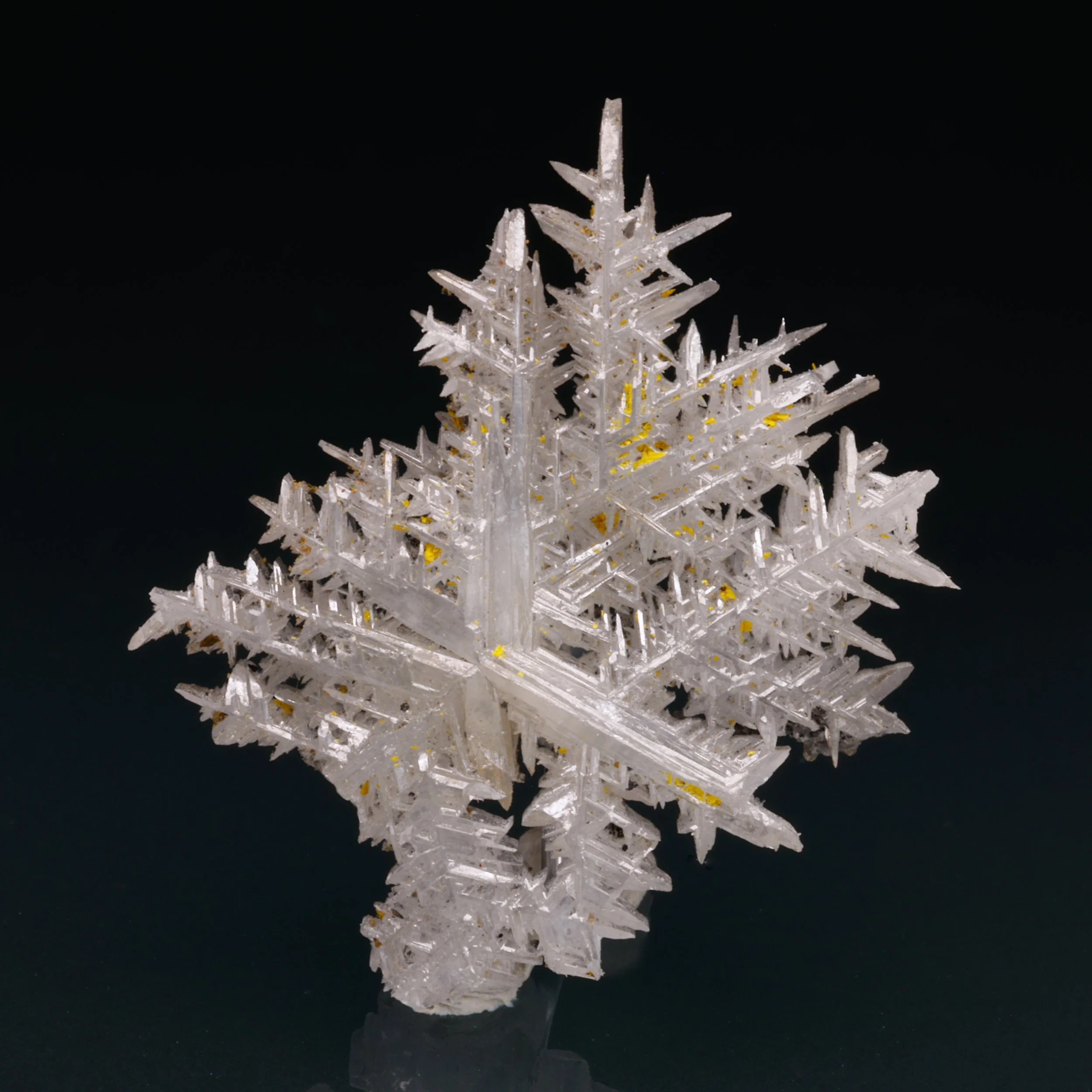 DanZellnerMineralPhotos5.19-3875.jpg