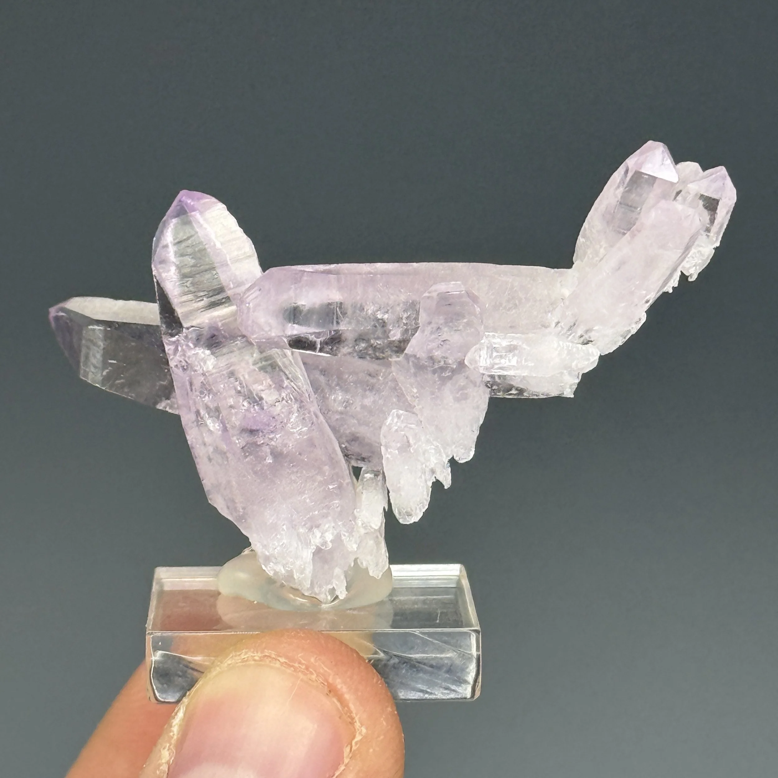 Amethyst, Las Vigas Mun, Veracruz, Mexico
