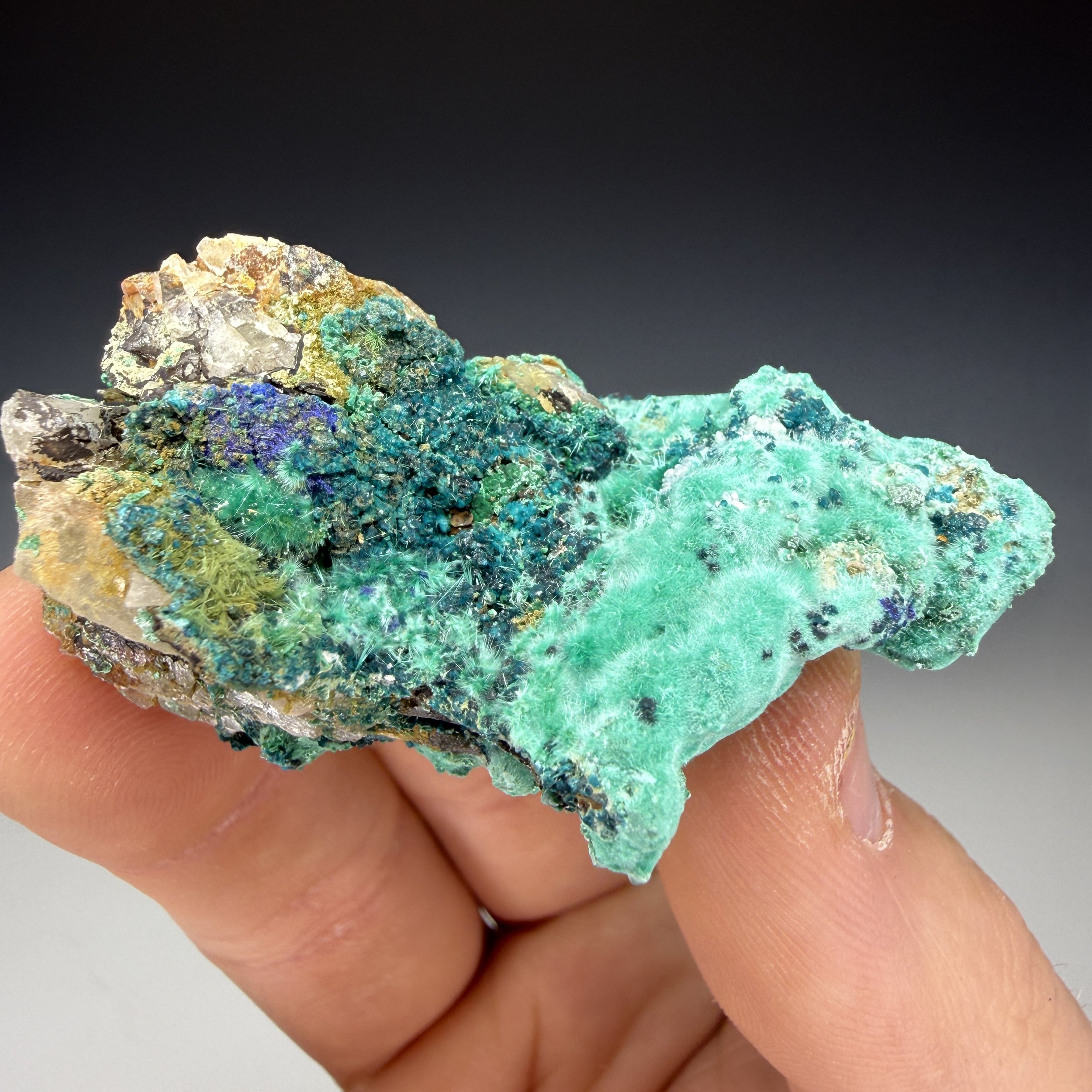 Spangolite, Aurichalcite, Malachite, Linarite, Mex-Tex Mine, Bingham,Socorro County, New Mexico, USA