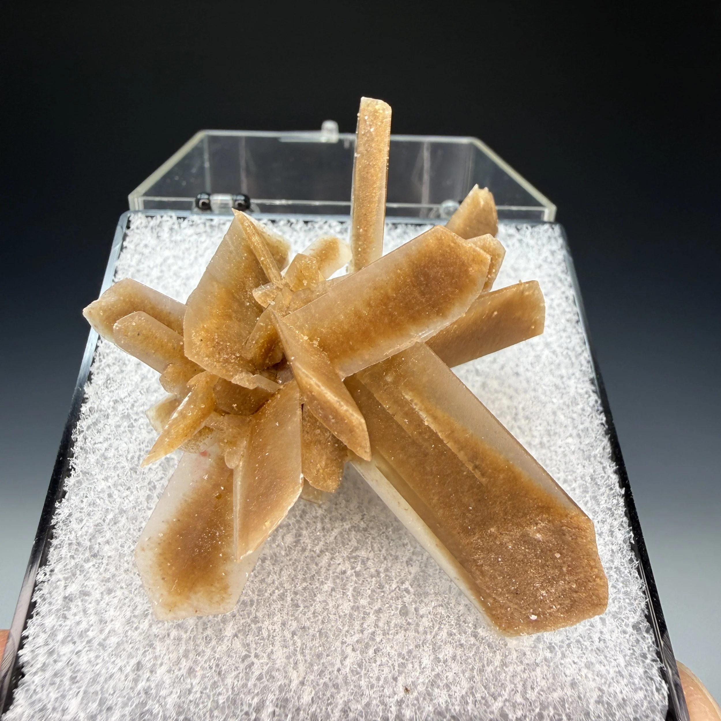 Selenite, Great Salt Plains, Jet, Alfalfa County, Oklahoma, USA