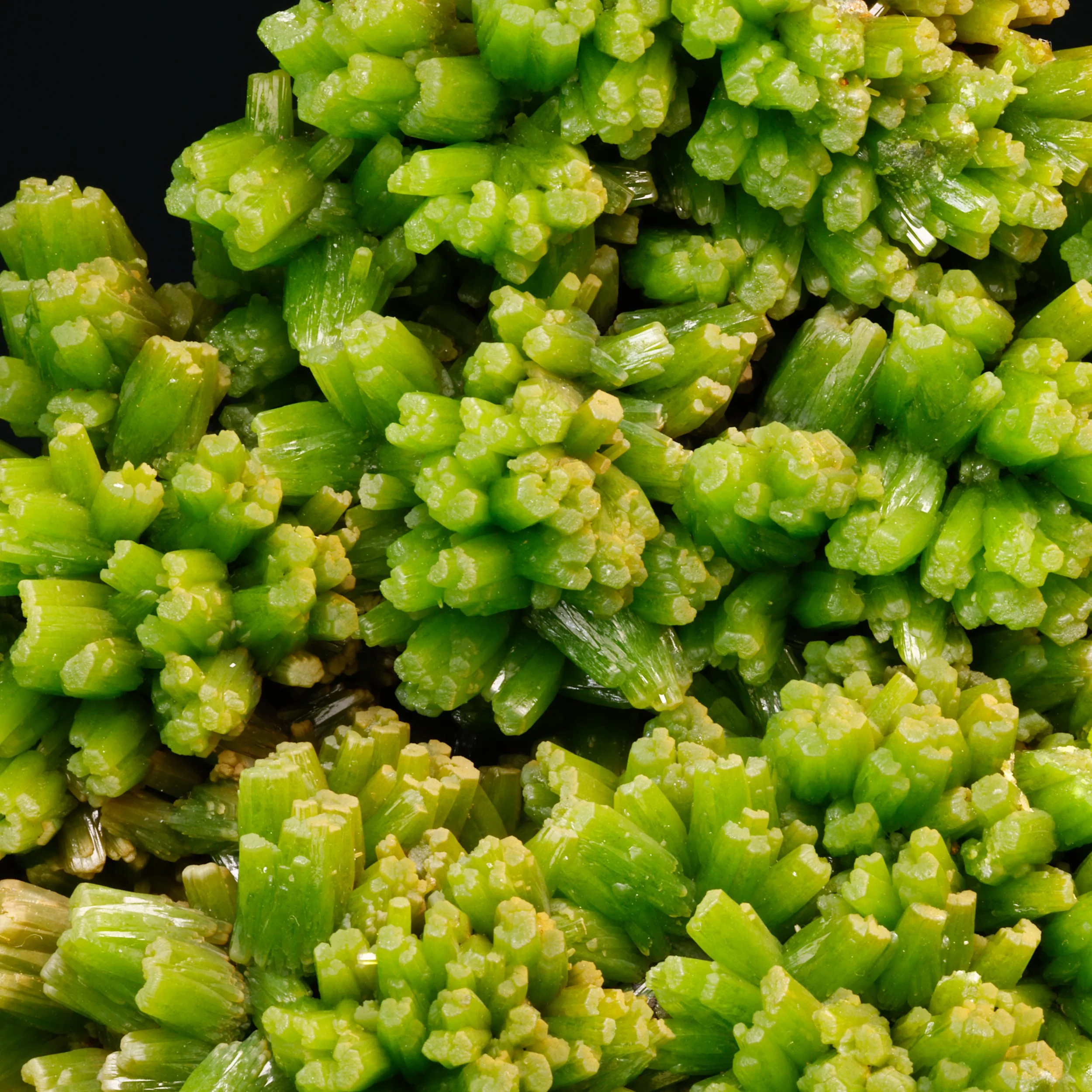 DanZellnerMineralPhotos4.26-3786.jpg
