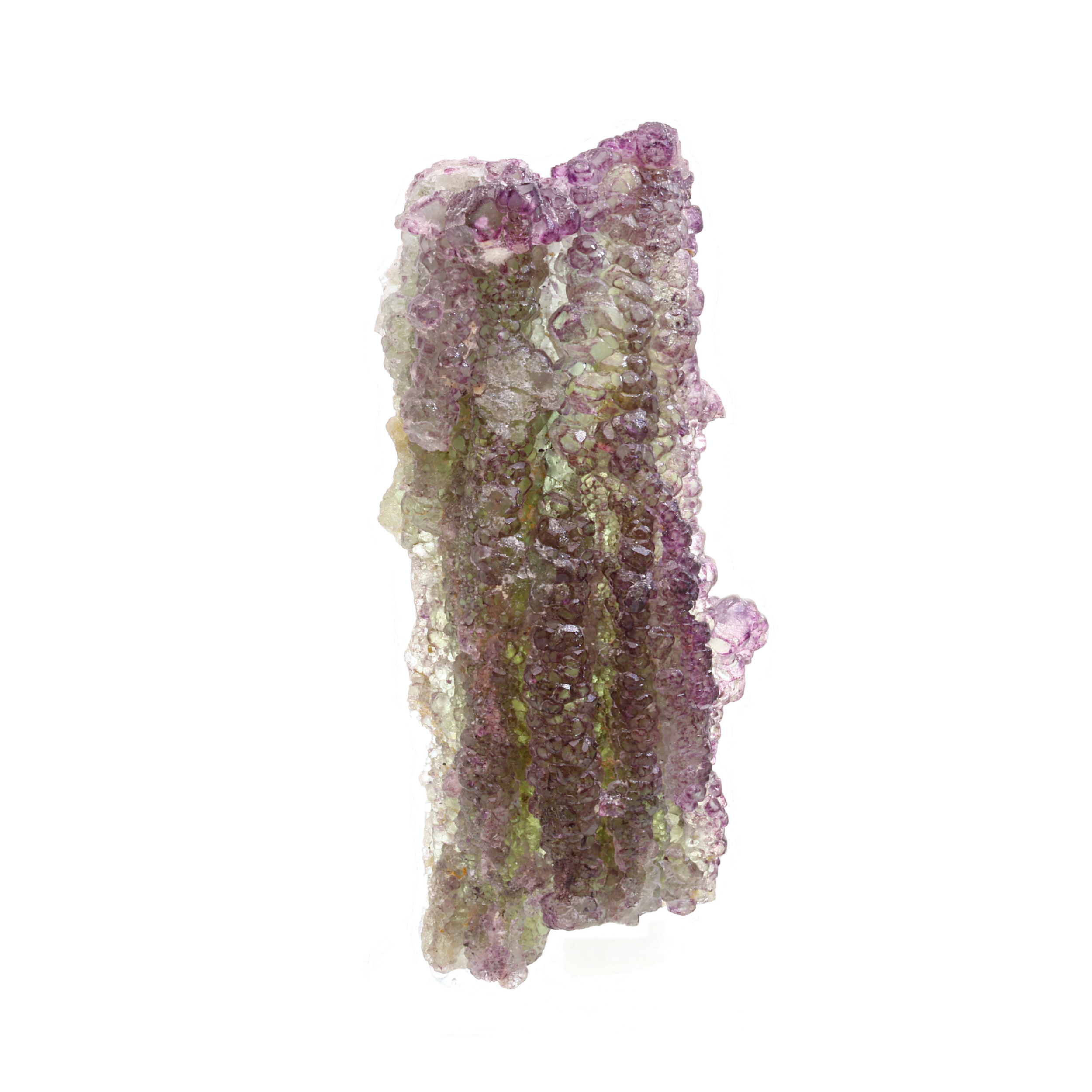 Untitled design (2).png