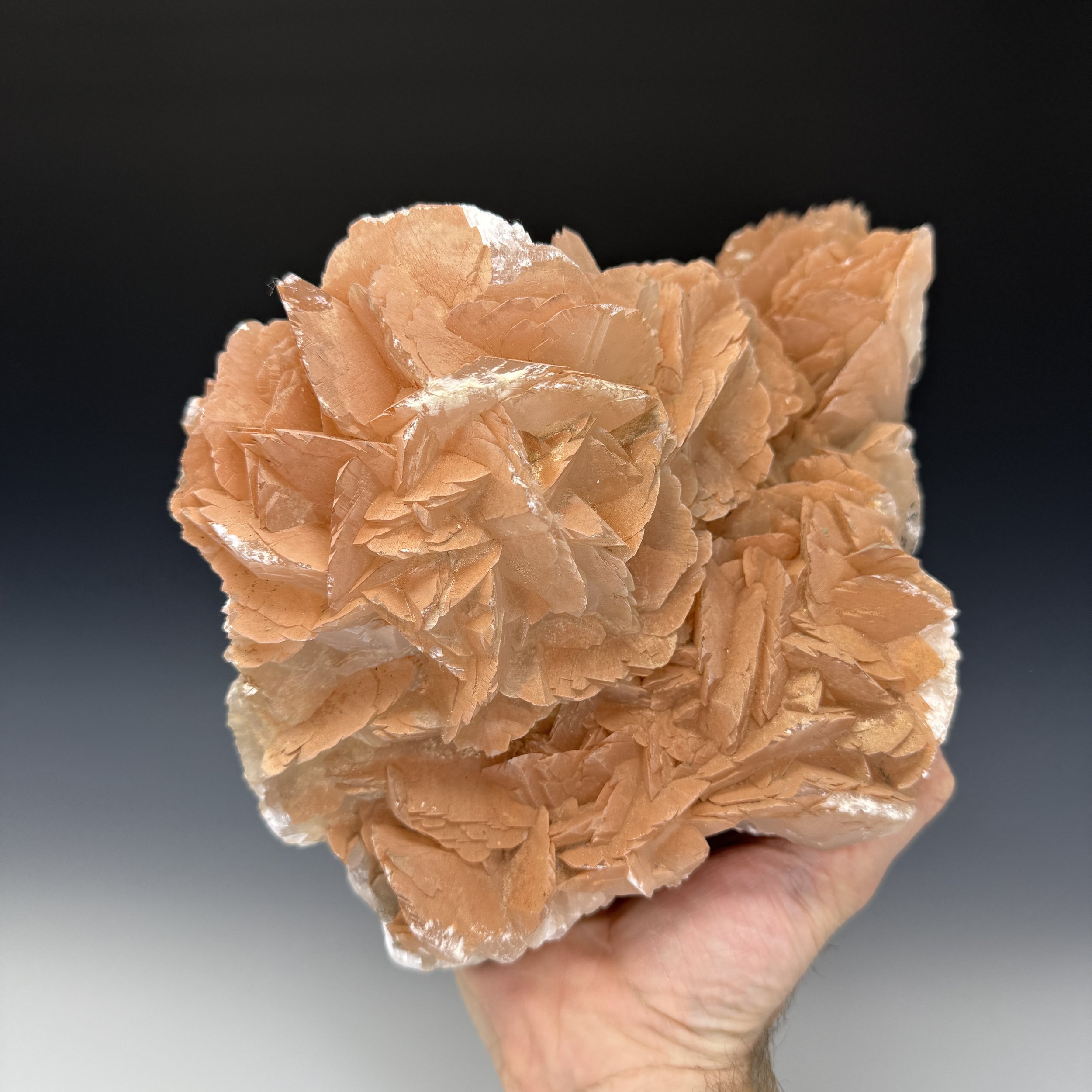 IMG_E5731.JPG (Copy)