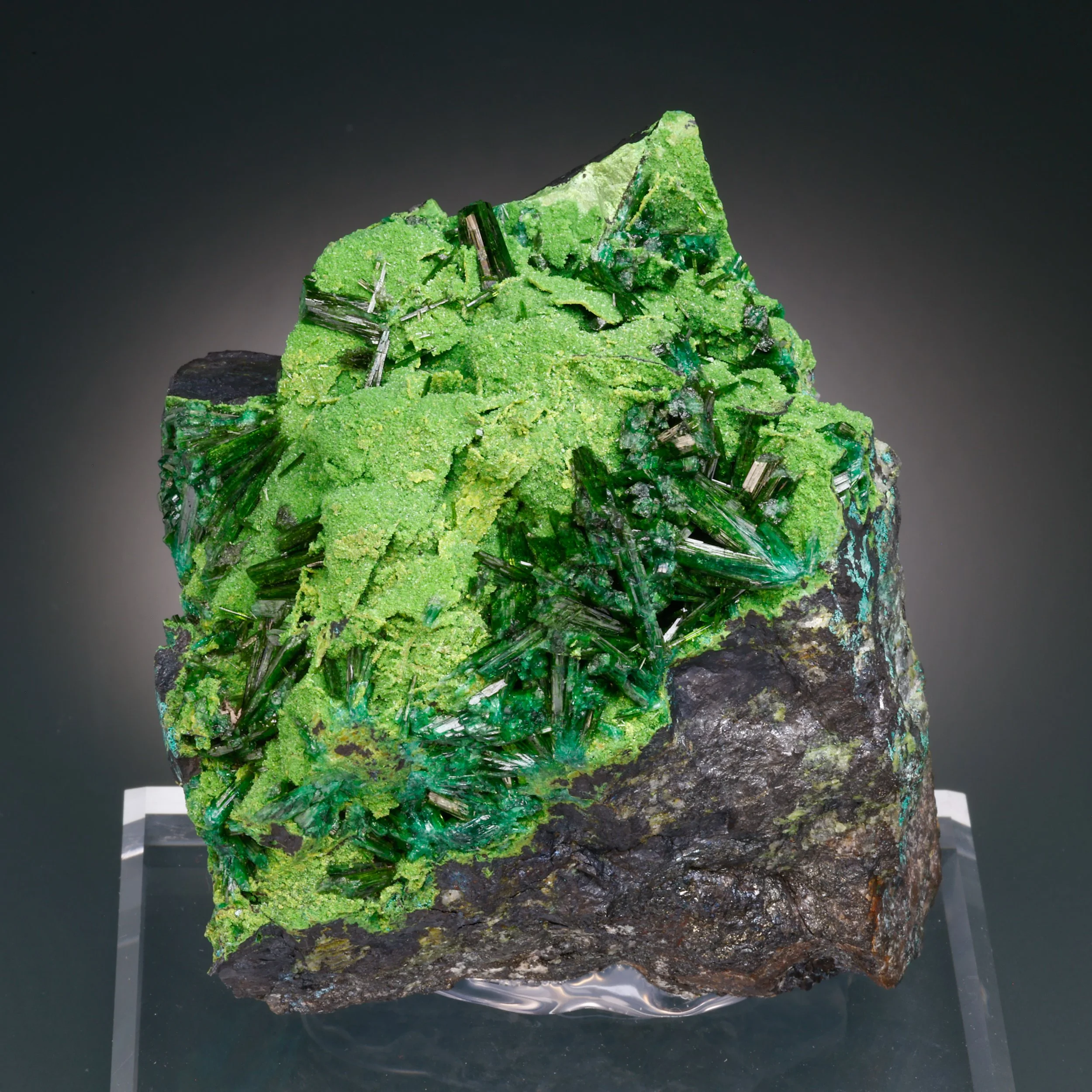 Olivenite, Duftite, Tsumeb Mine, Oshikoto Region, Namibia