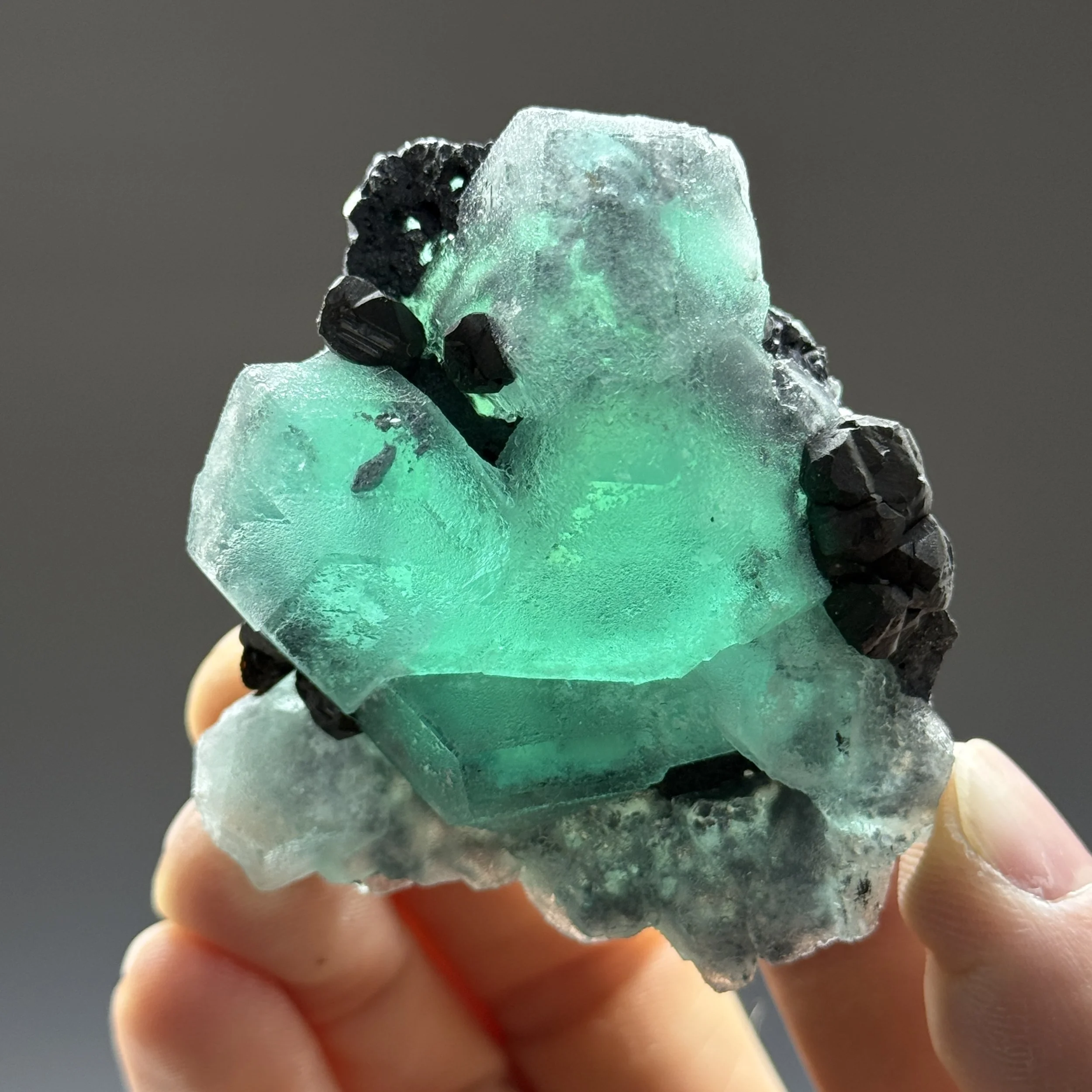 Fluorite, Milpo Mine, Atachocha District, Pasco, Peru