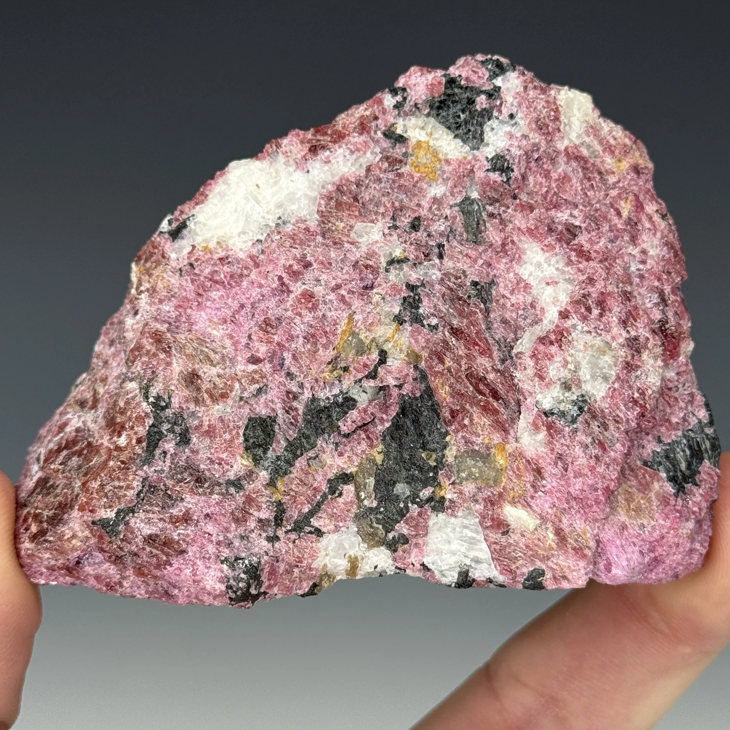 Eudialyte, Cordierite, Mont St. Hilaire, Quebec, Canada