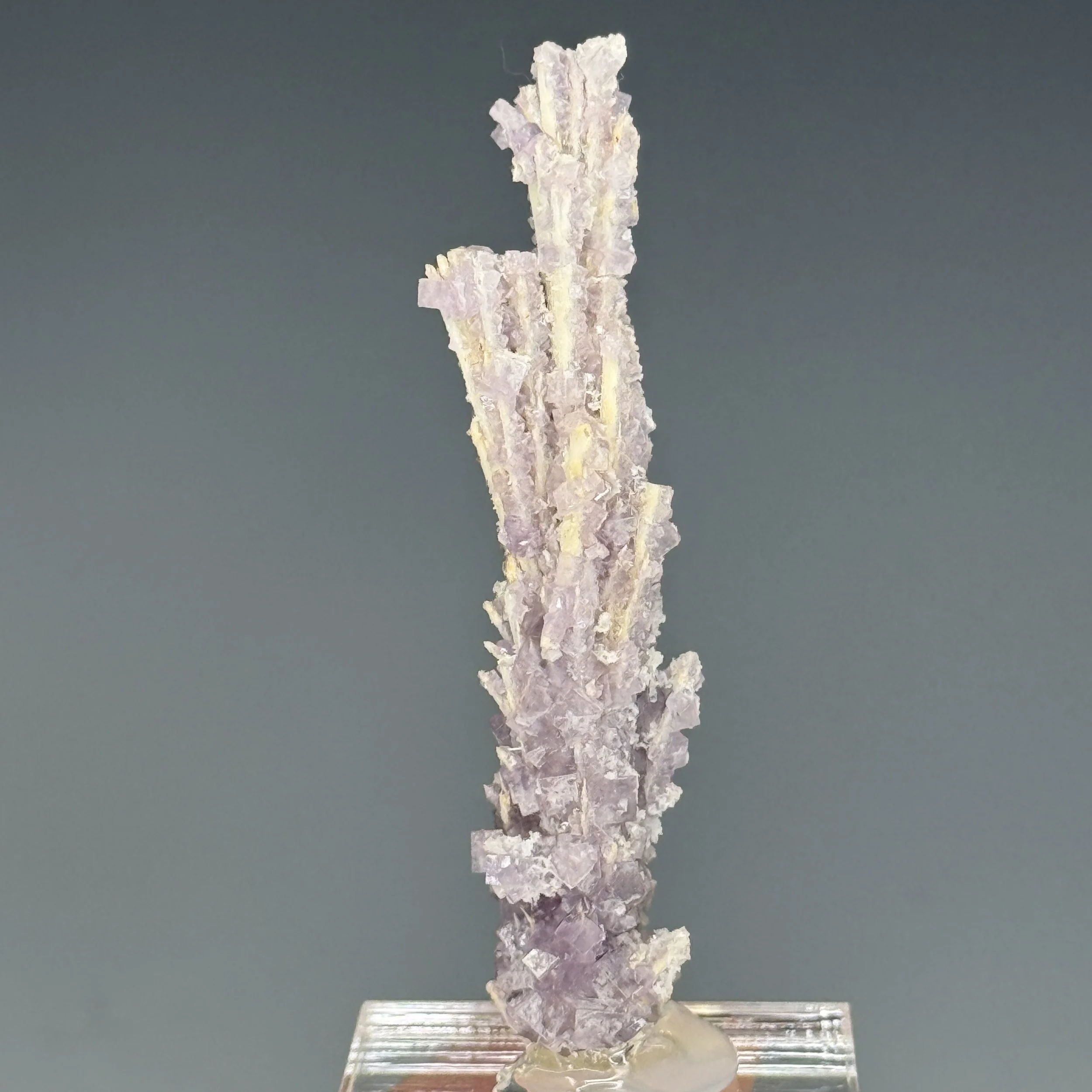 Fluorite, Quartz Ps. Laumontite, Buck Mine, Cripple Creek Dist., Teller Co., Colorado, USA