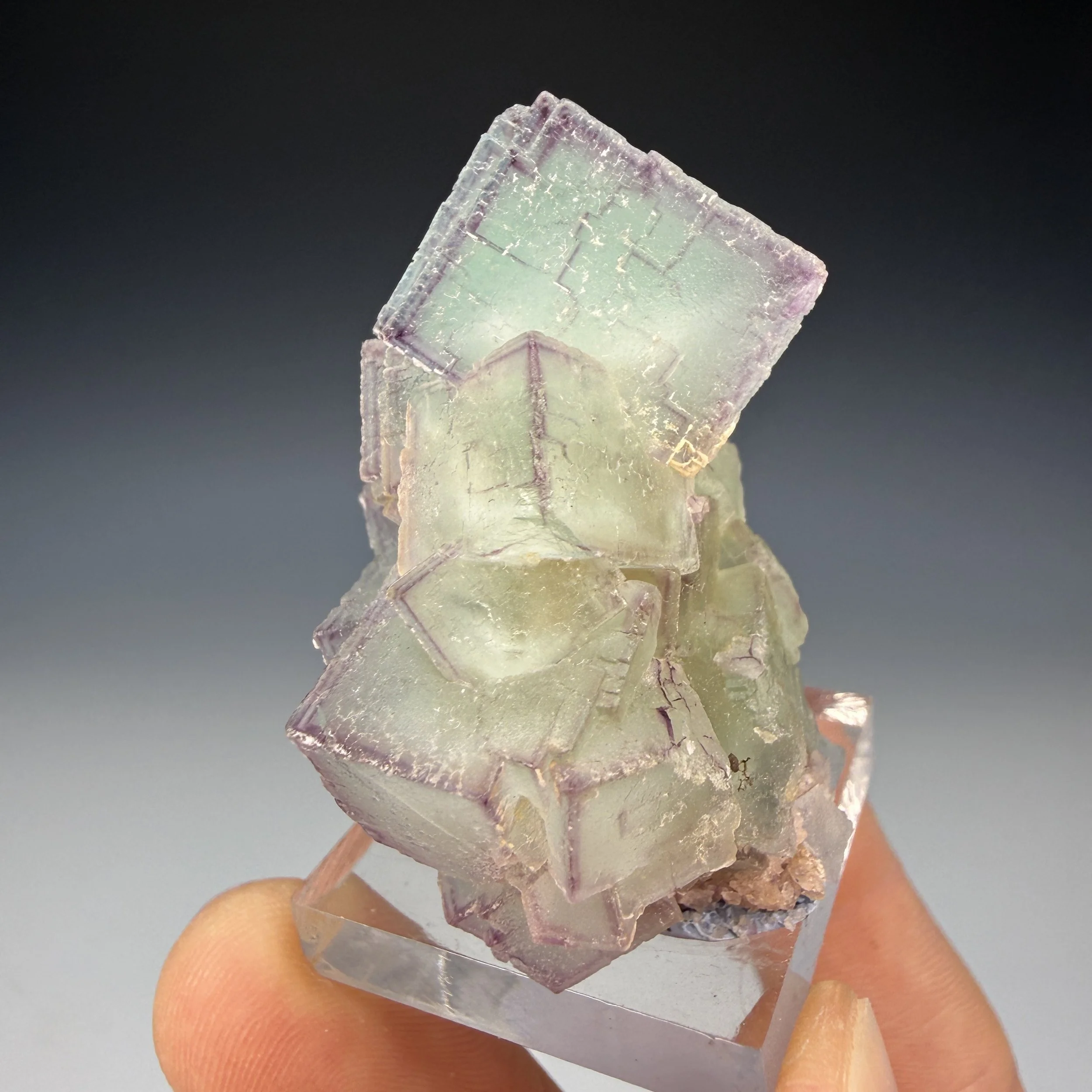 Fluorite, Double Strike Prospects, Bound Ranch Dist., Grant Co., New Mexico, USA